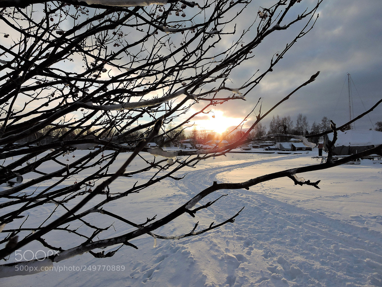 Nikon Coolpix P600 sample photo. Shy sunshine photography