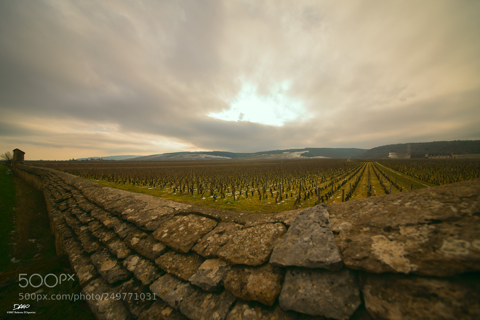 Sony a99 II sample photo. Holy vineyard #2 photography