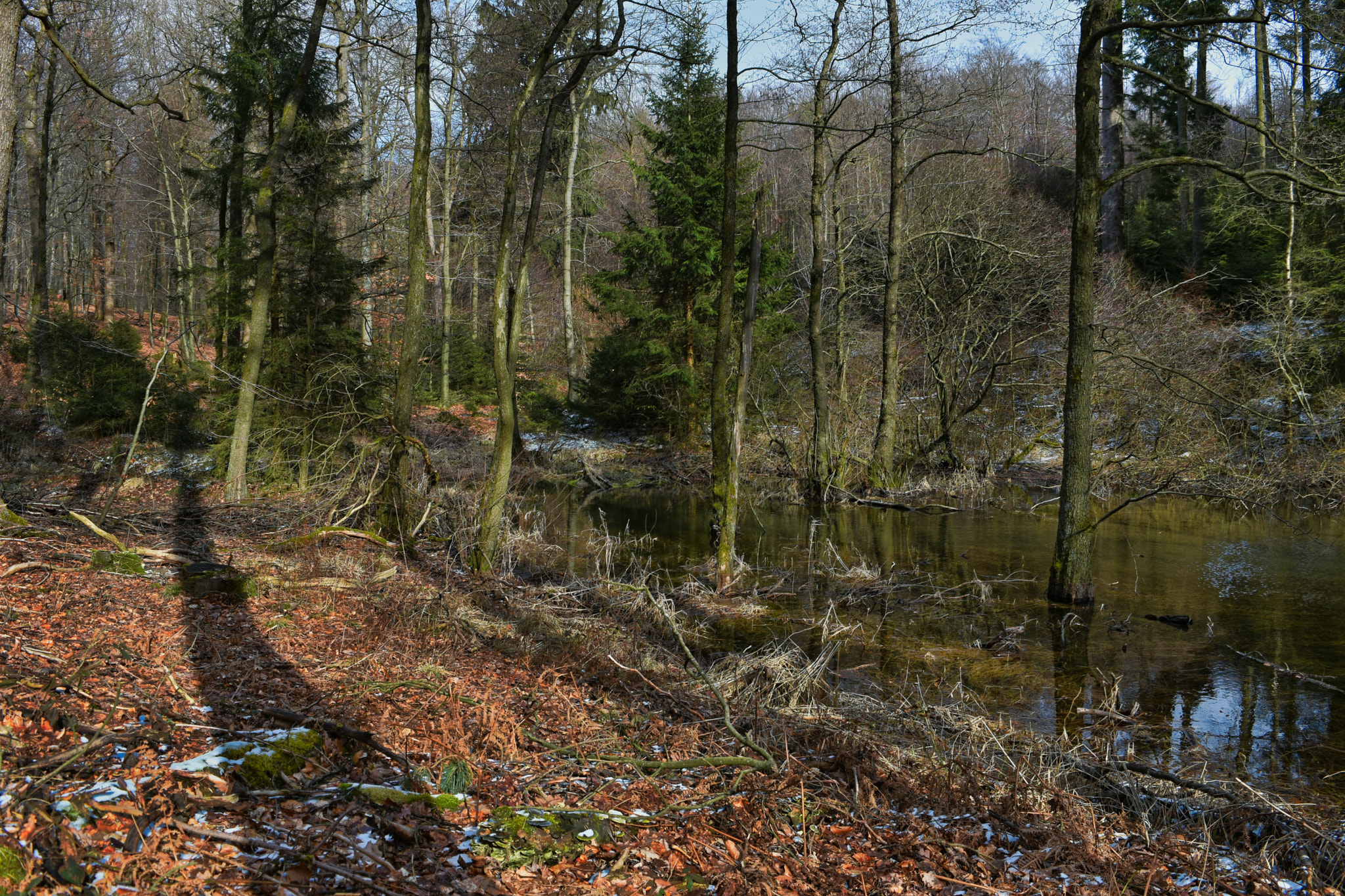 Nikon D7200 sample photo. Lake's end photography