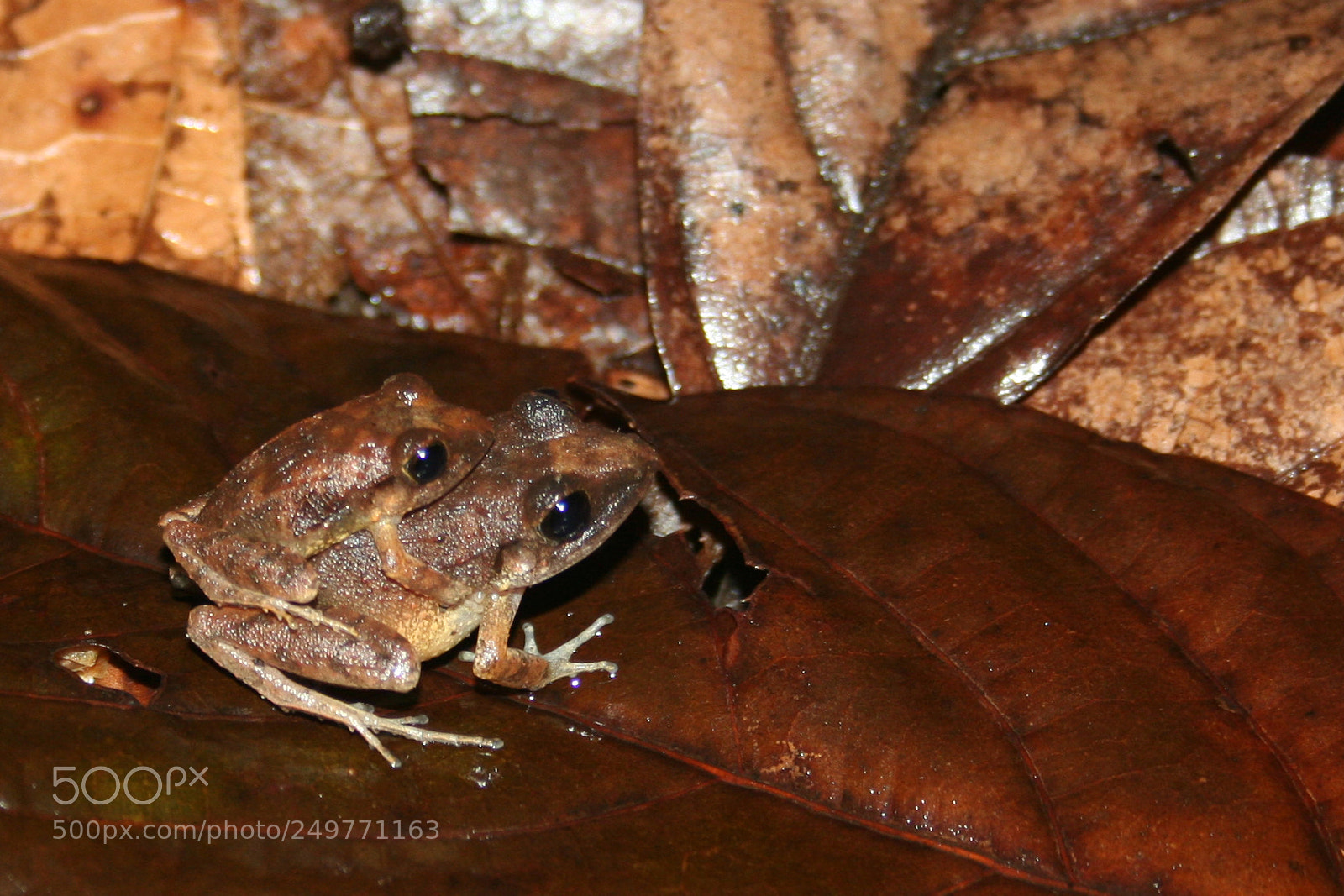 Canon EOS 350D (EOS Digital Rebel XT / EOS Kiss Digital N) sample photo. Img photography