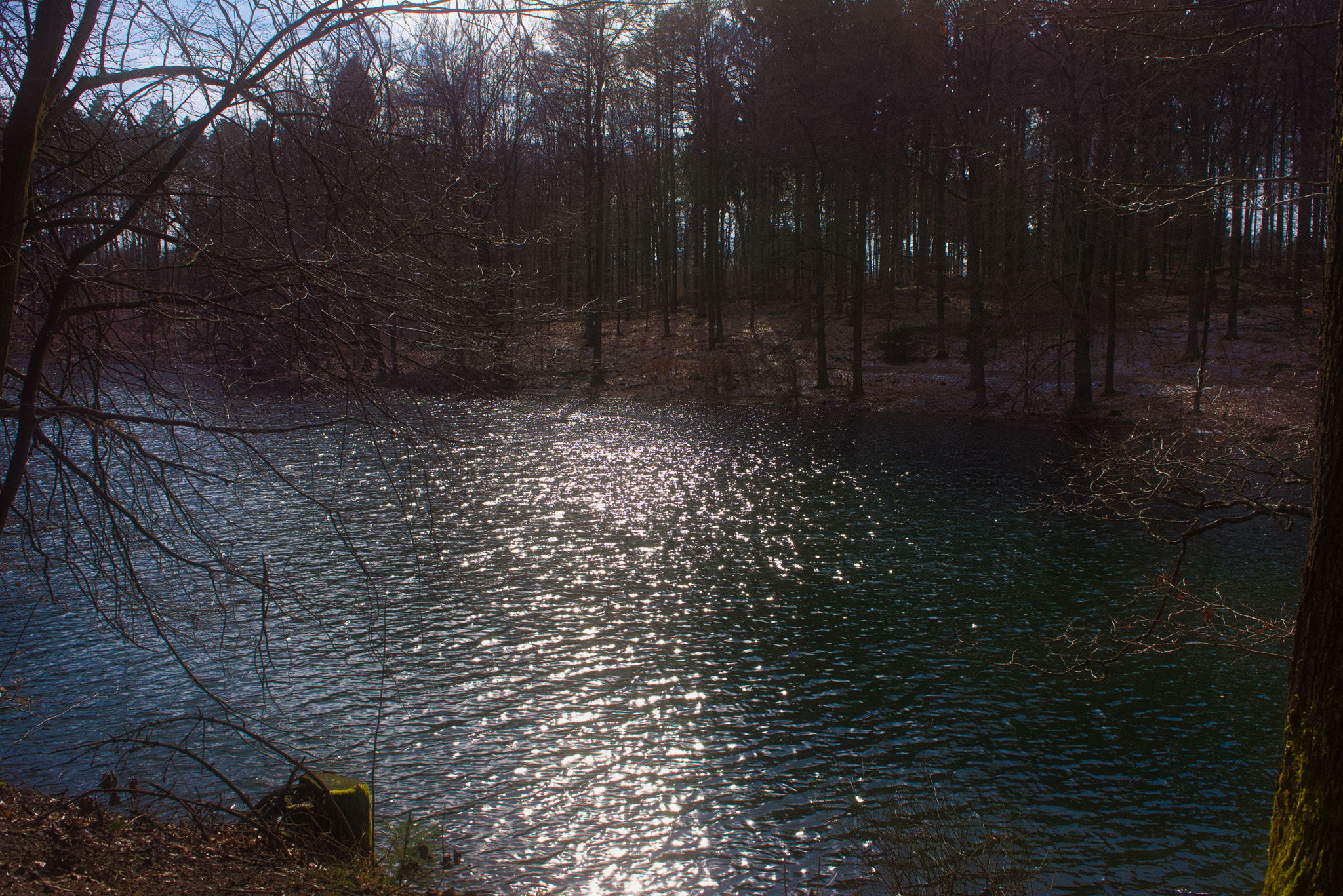 Nikon D7200 sample photo. Sun reflecting on neye dam photography