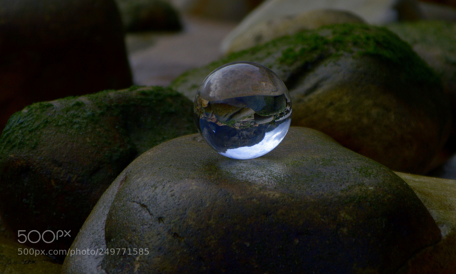 Nikon D3200 sample photo. Detalles ( details ) . photography