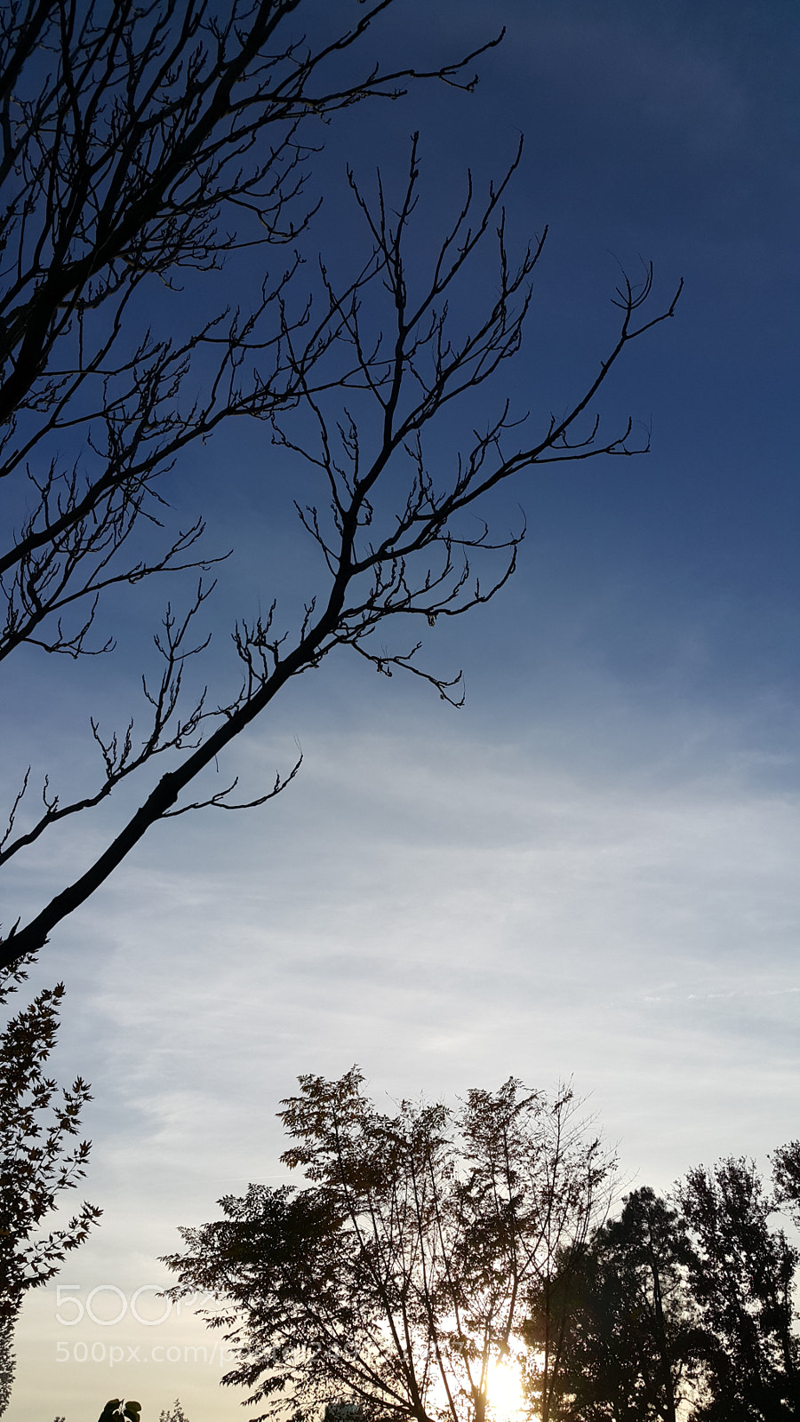 Samsung Galaxy Note4 sample photo. Fall photography