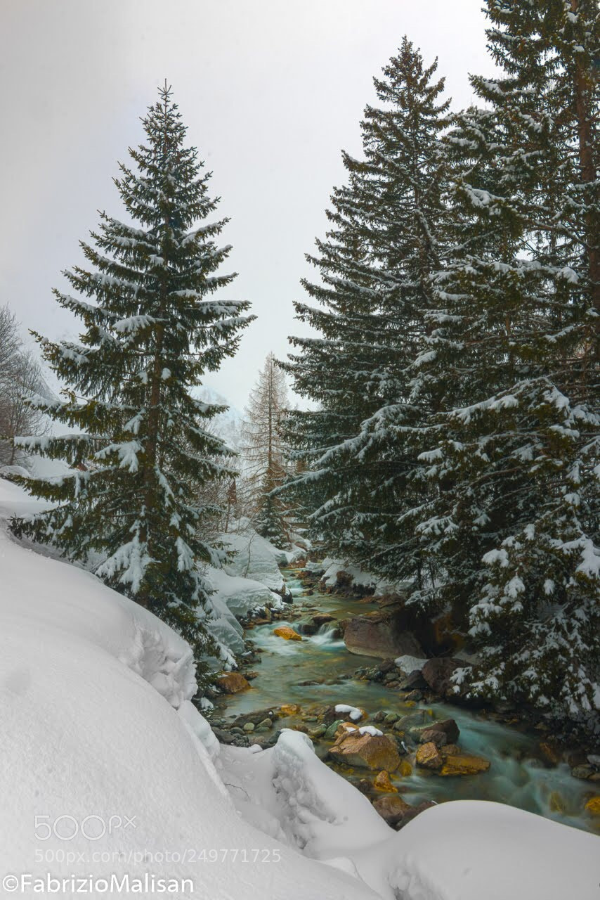 Canon EOS 70D sample photo. The river meanders through photography