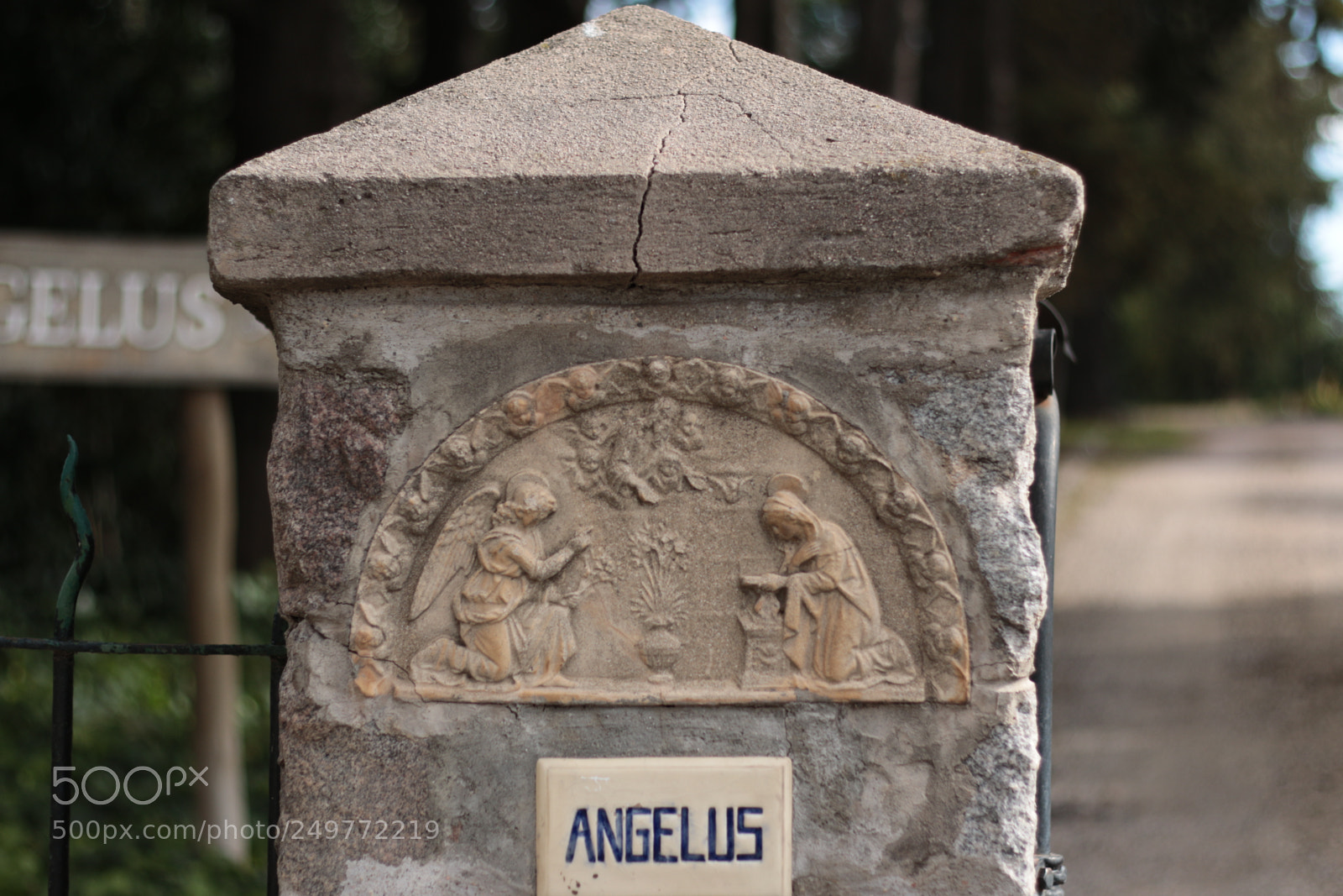 Canon EOS 70D + Canon EF 50mm F1.8 II sample photo. Angelus photography
