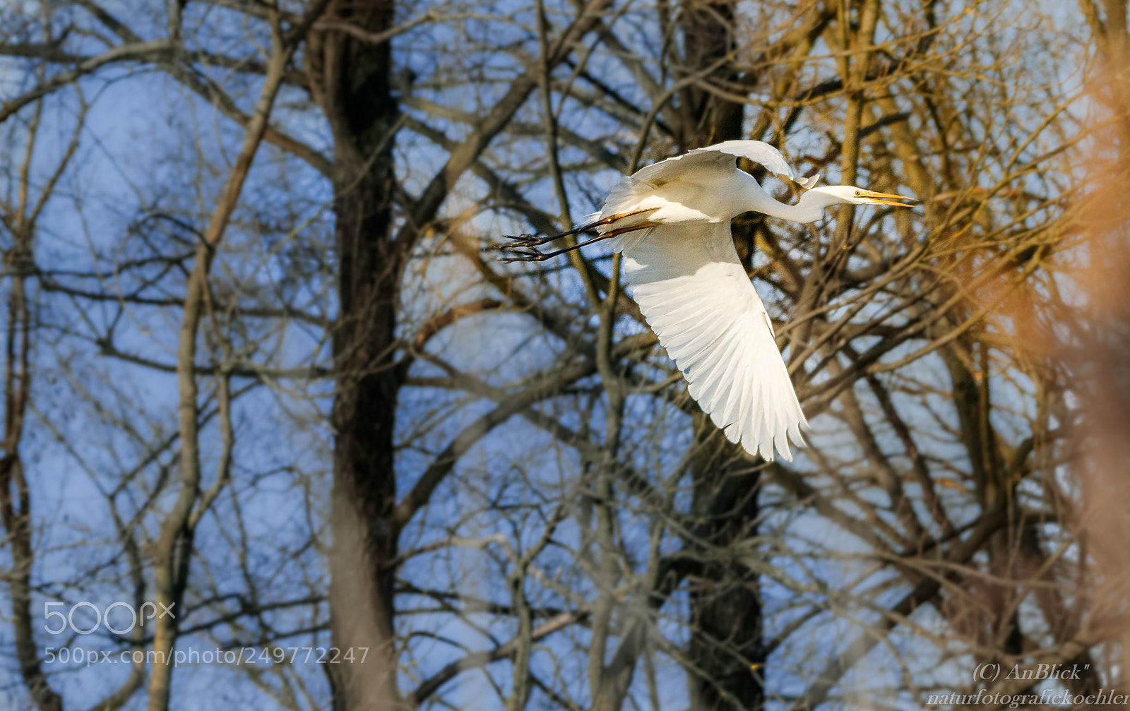 Canon EOS 7D Mark II sample photo. Flucht ist keine schande photography