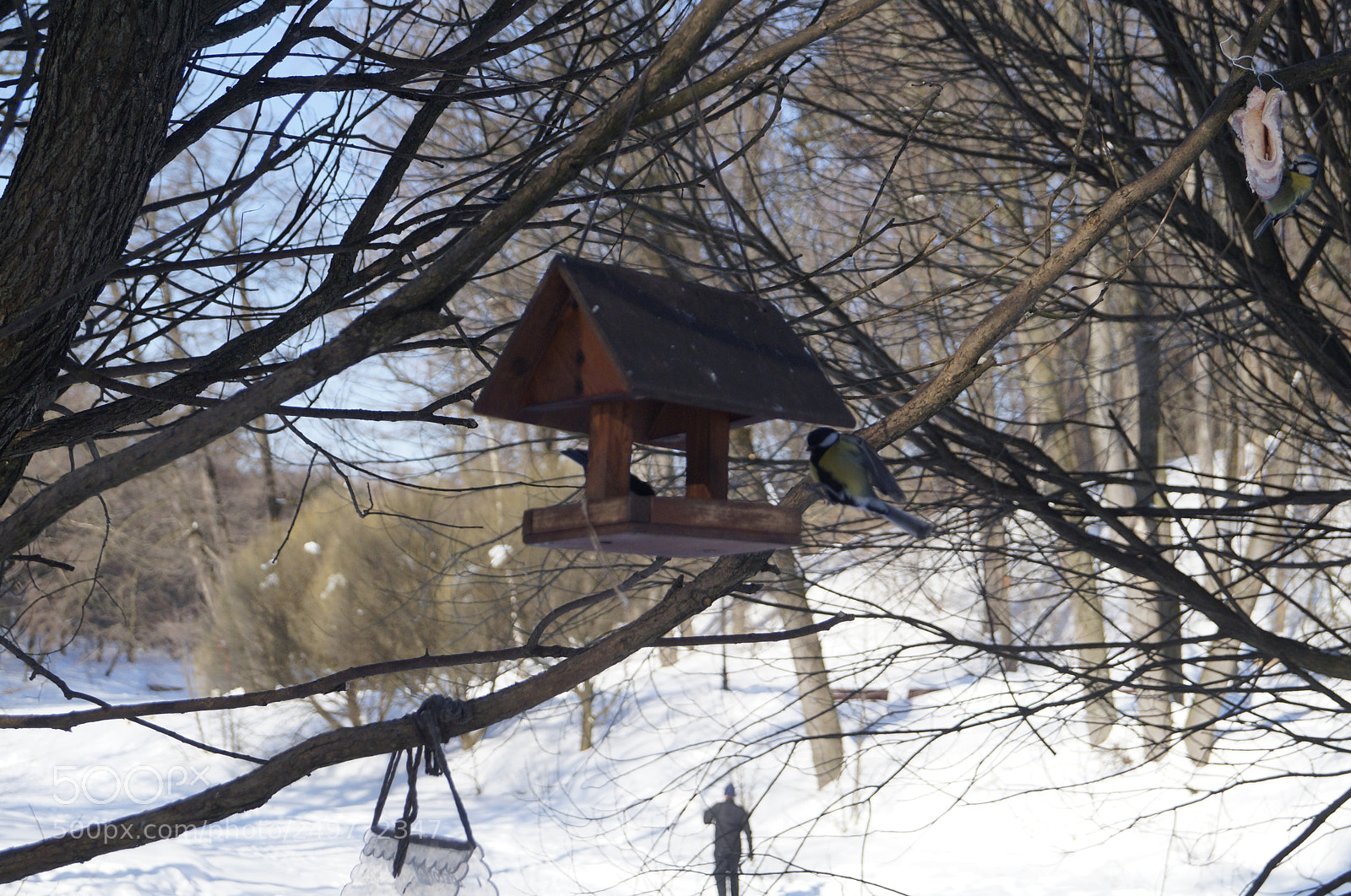 Sony SLT-A57 sample photo. Untitled photography