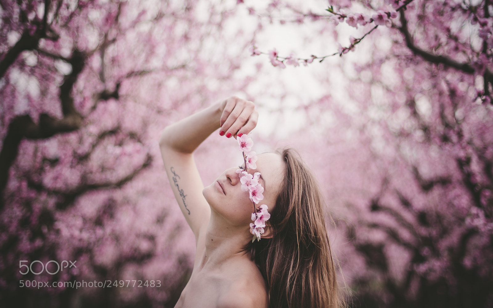 Nikon D7200 sample photo. Beauty blossoms from the photography