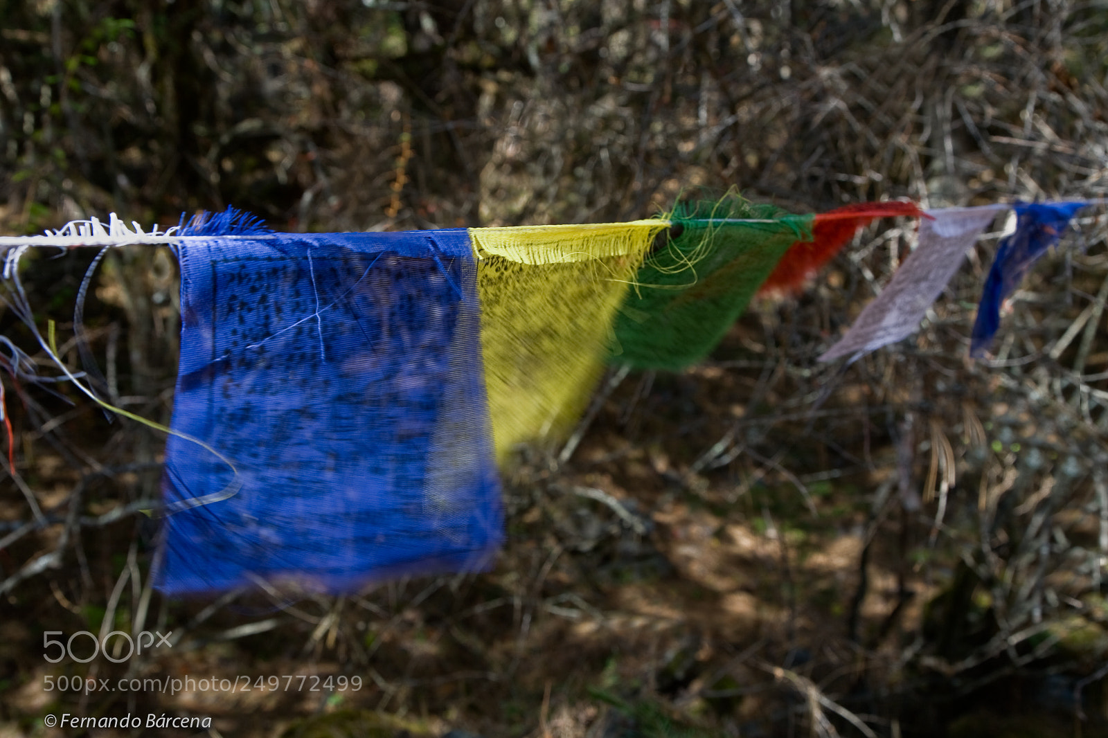Canon EOS 5D sample photo. Prayer flags. nepal. nov2007. photography