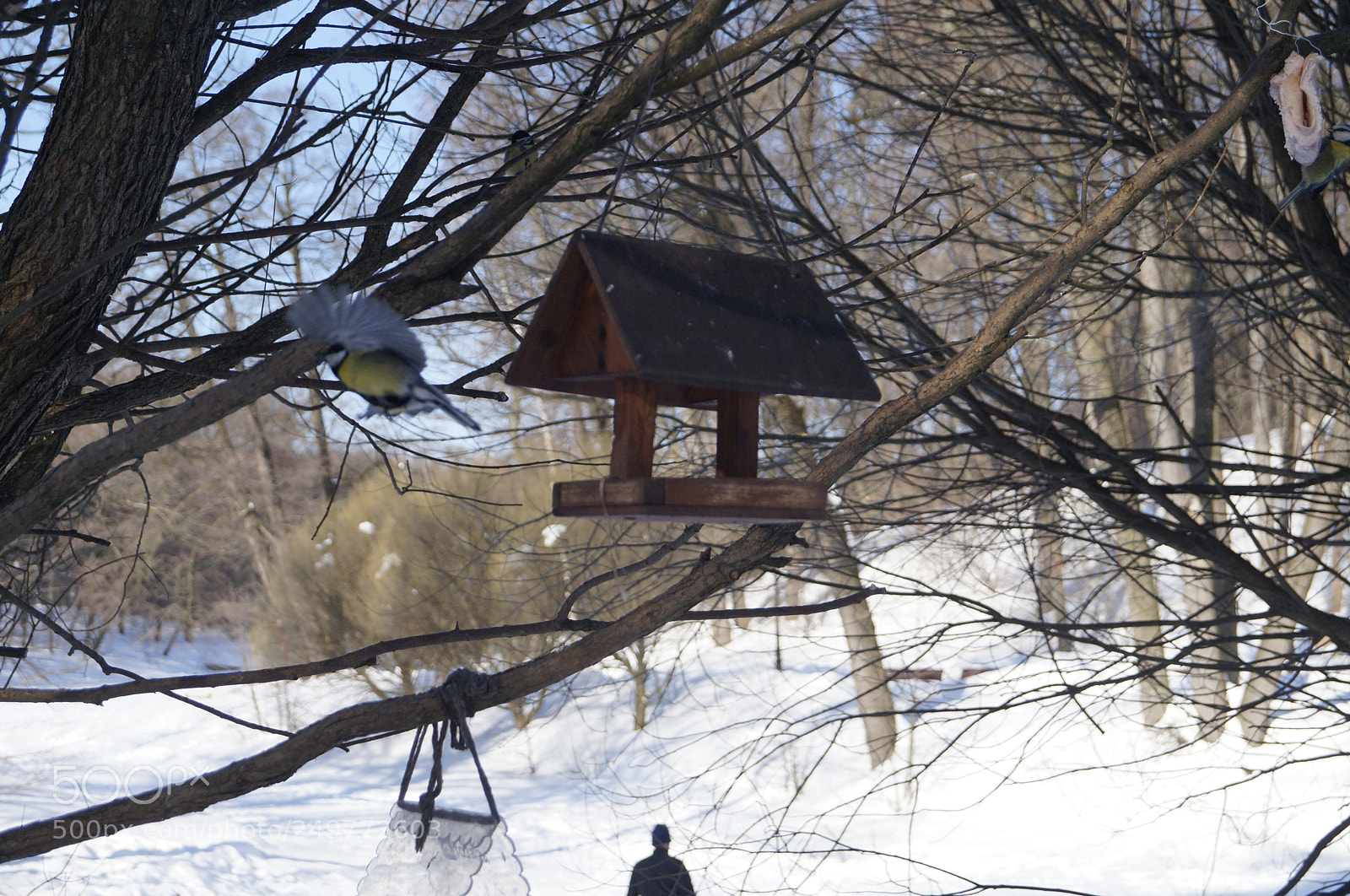 Sony SLT-A57 sample photo. Untitled photography