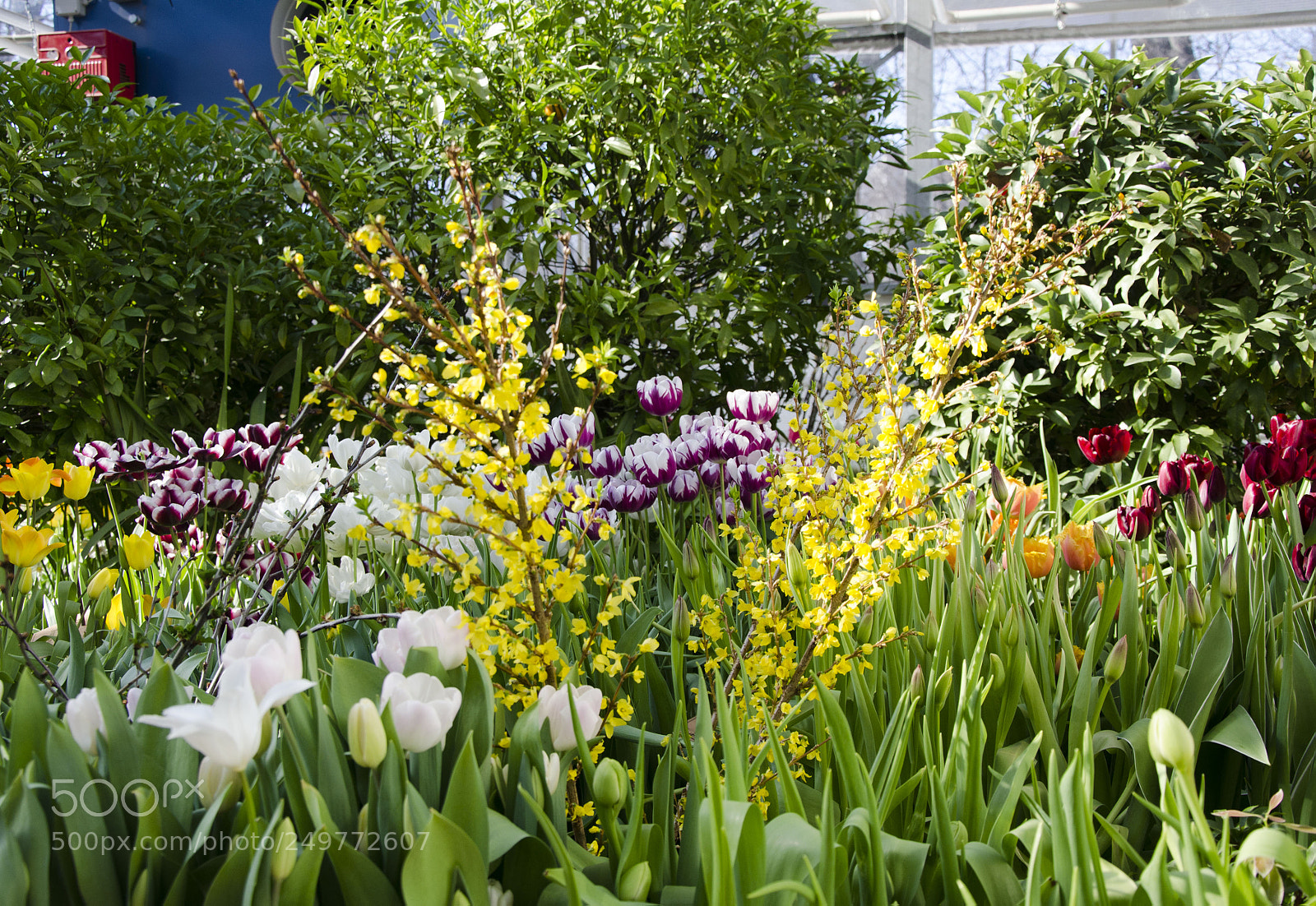 Nikon D7000 sample photo. Spring time photography