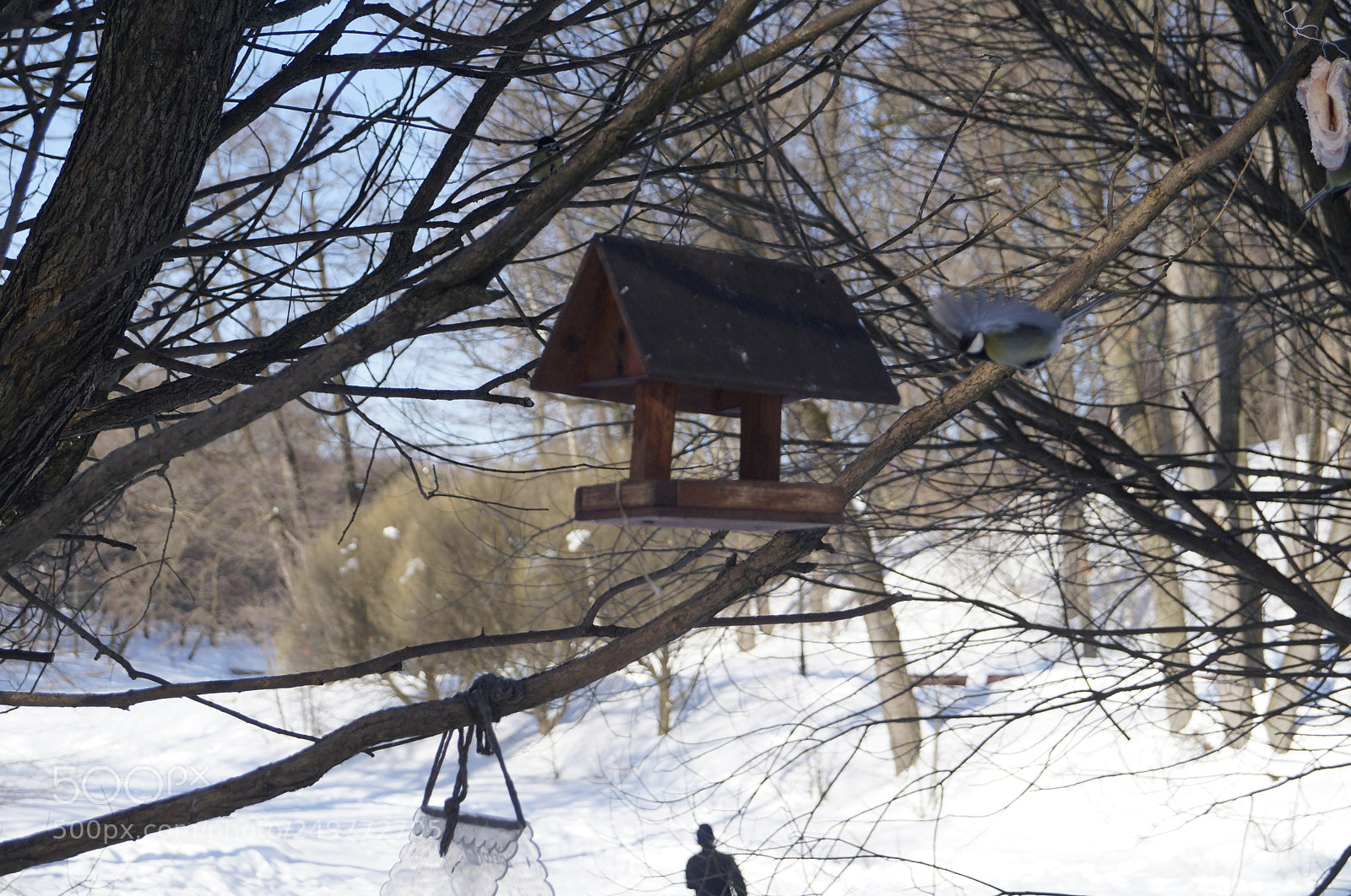 Sony SLT-A57 sample photo. Untitled photography