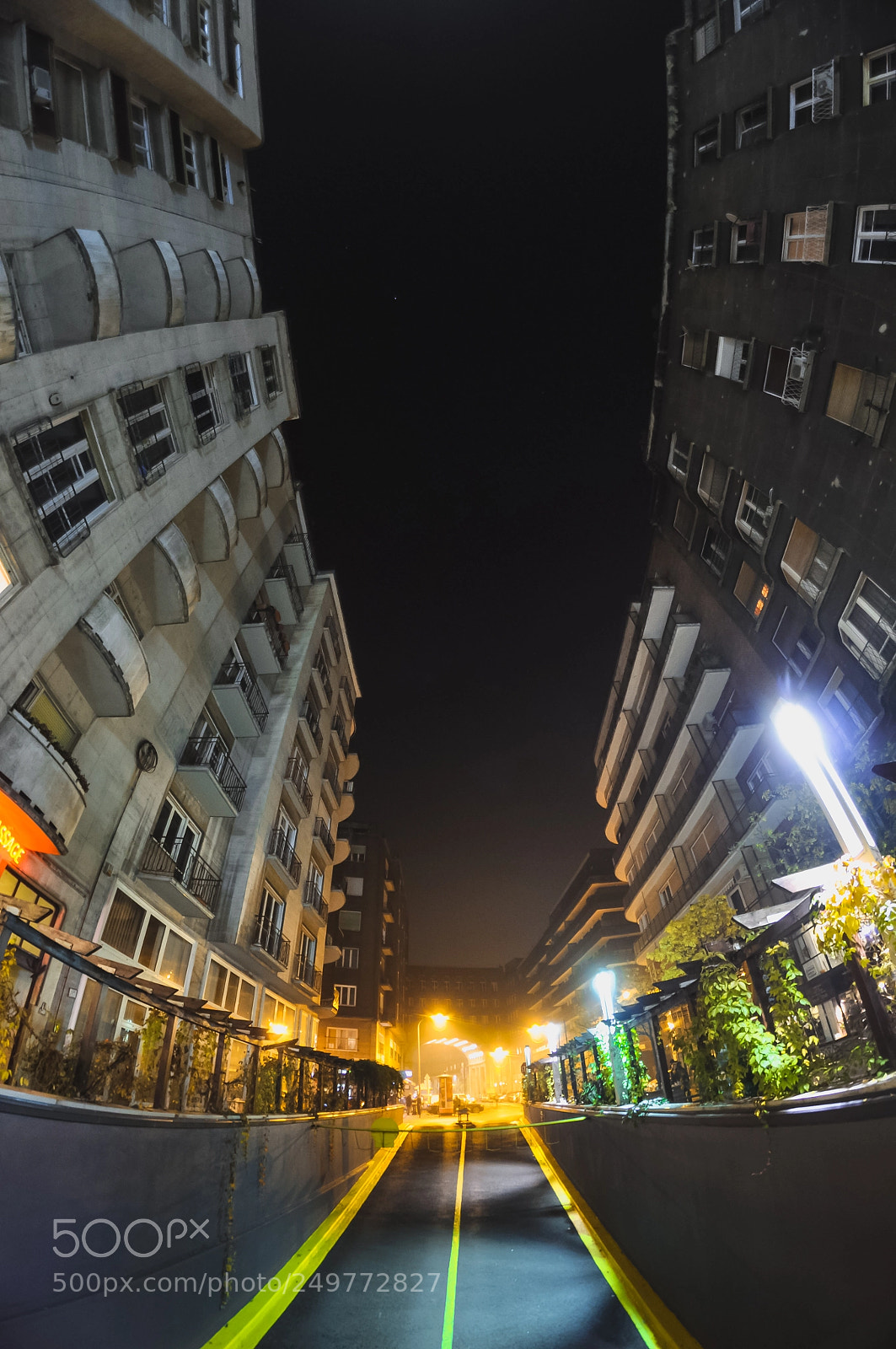 Nikon D90 sample photo. Untitled photography