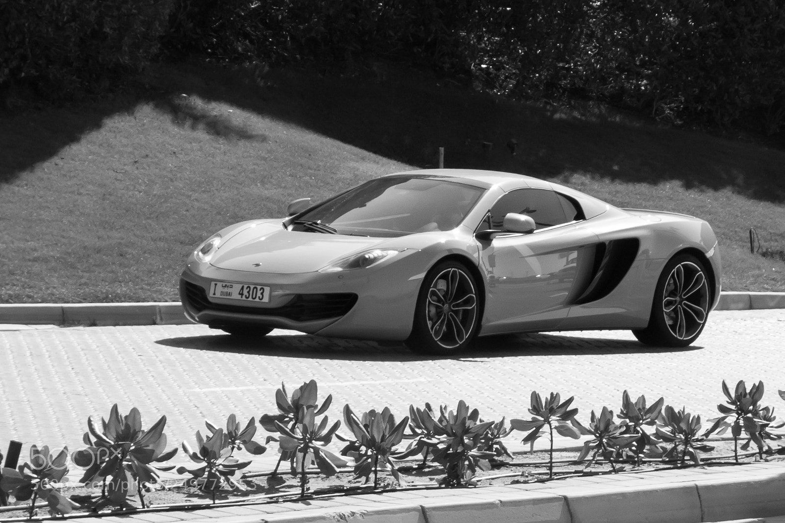 Nikon D3100 sample photo. The sports car in photography