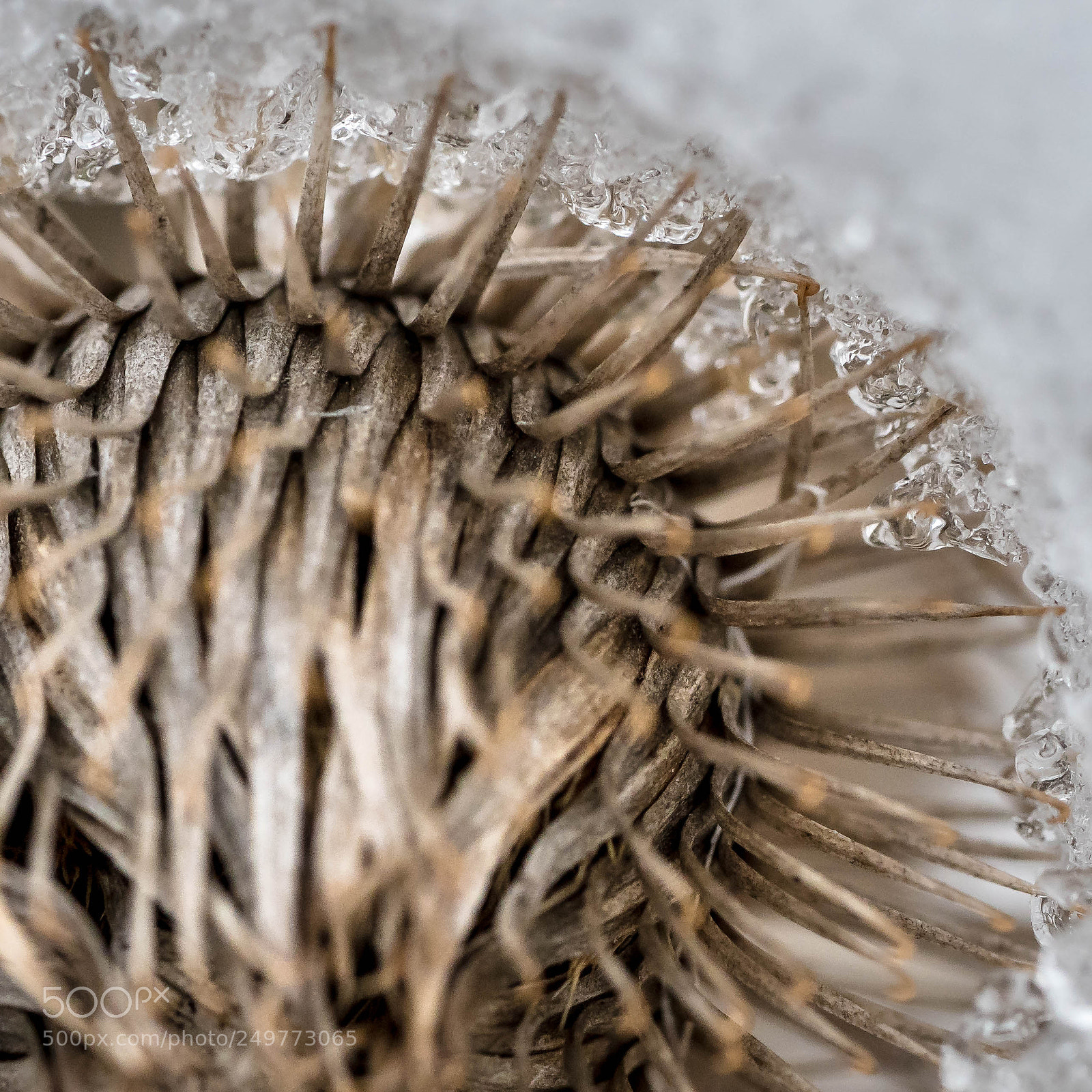 Sony a7R II sample photo. Unterm schnee (eis) photography