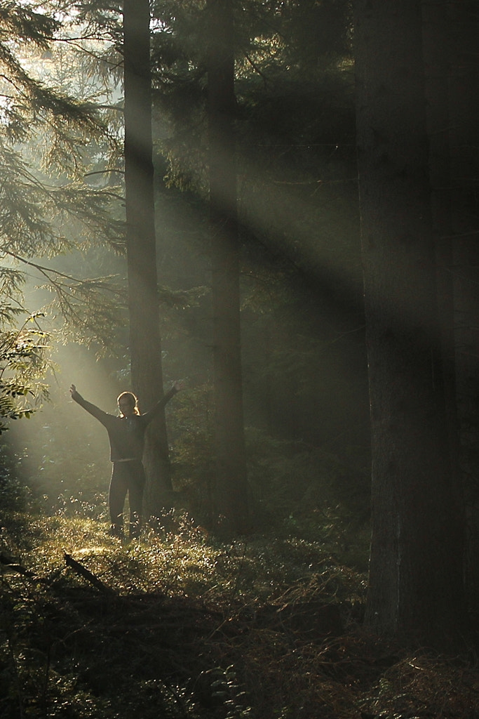 Canon EOS 600D (Rebel EOS T3i / EOS Kiss X5) sample photo. Morning ... photography