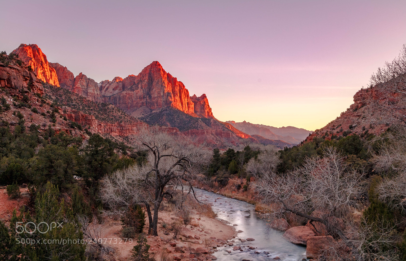 Canon EOS 70D sample photo. Zion virgin river photography