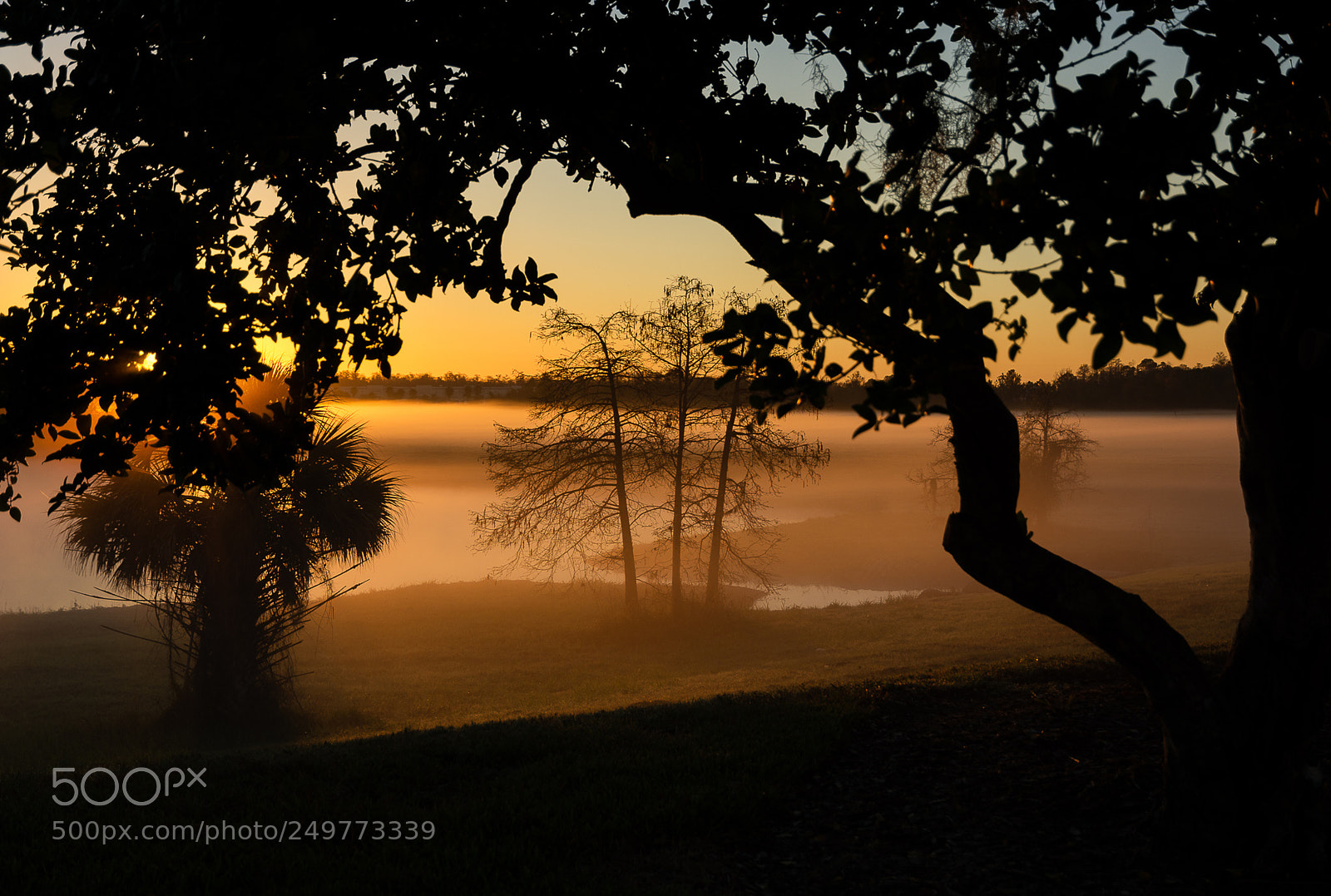 Nikon D7100 sample photo. Sunrise surprise photography