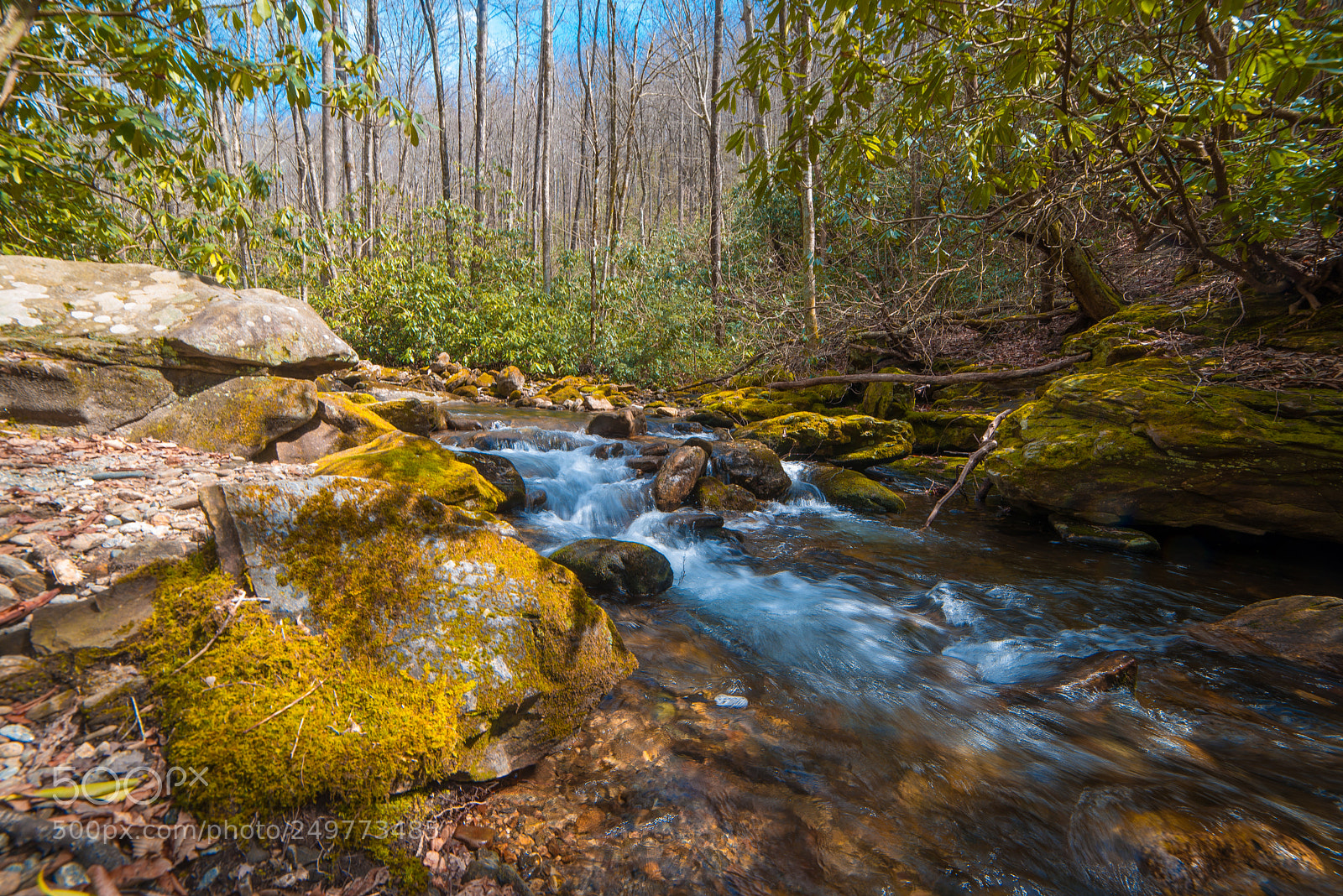 Nikon D610 sample photo. Pisgah national park stream photography