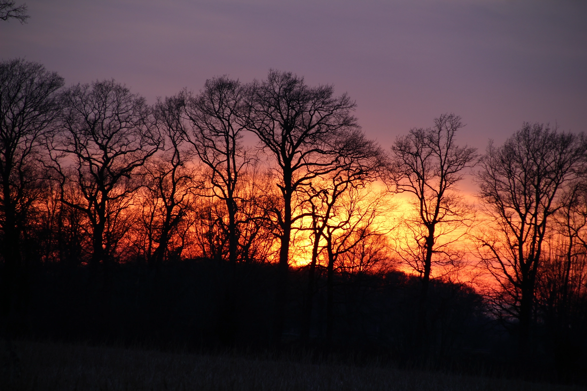 Canon TS-E 90mm F2.8 Tilt-Shift sample photo. Sonnenuntergang photography