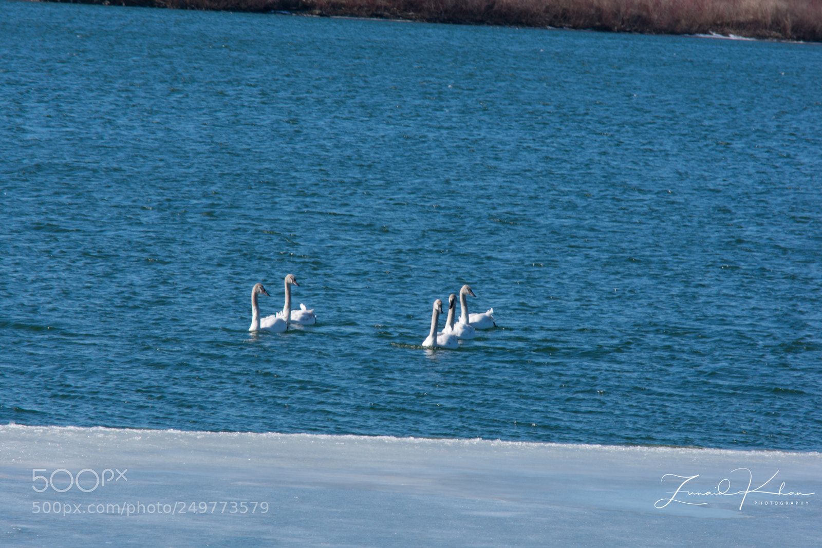 Nikon D3400 sample photo. Formation  photography