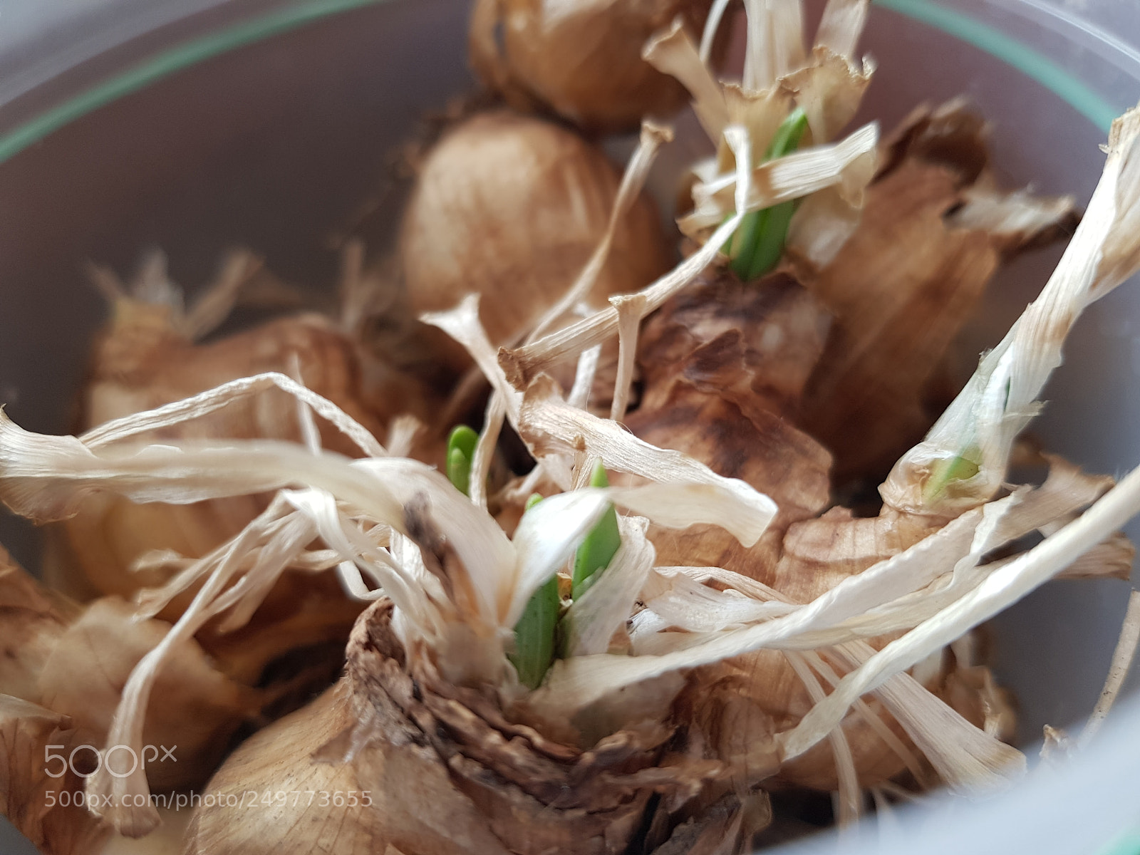 Samsung Galaxy S8 sample photo. Untitled photography