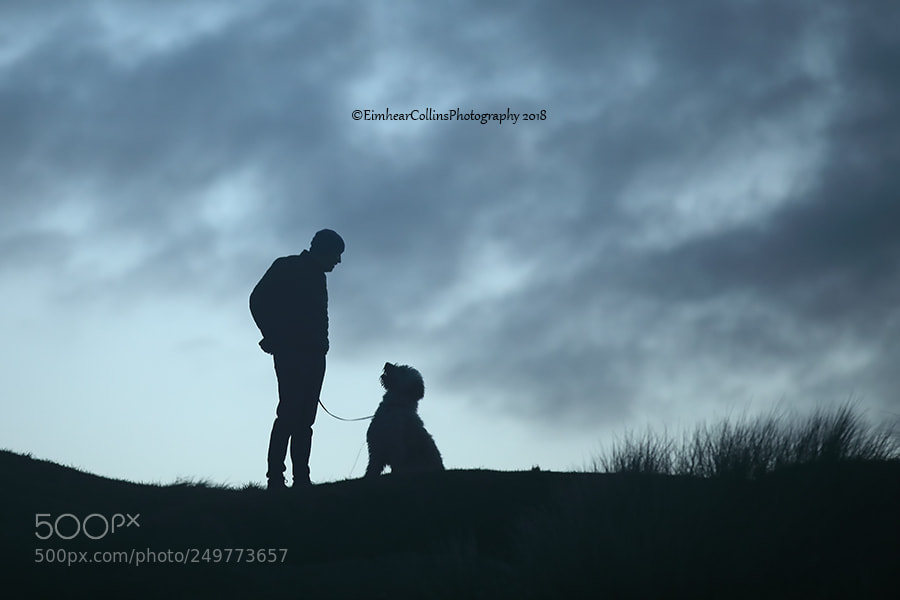 Canon EOS 5D Mark IV sample photo. One man and his photography