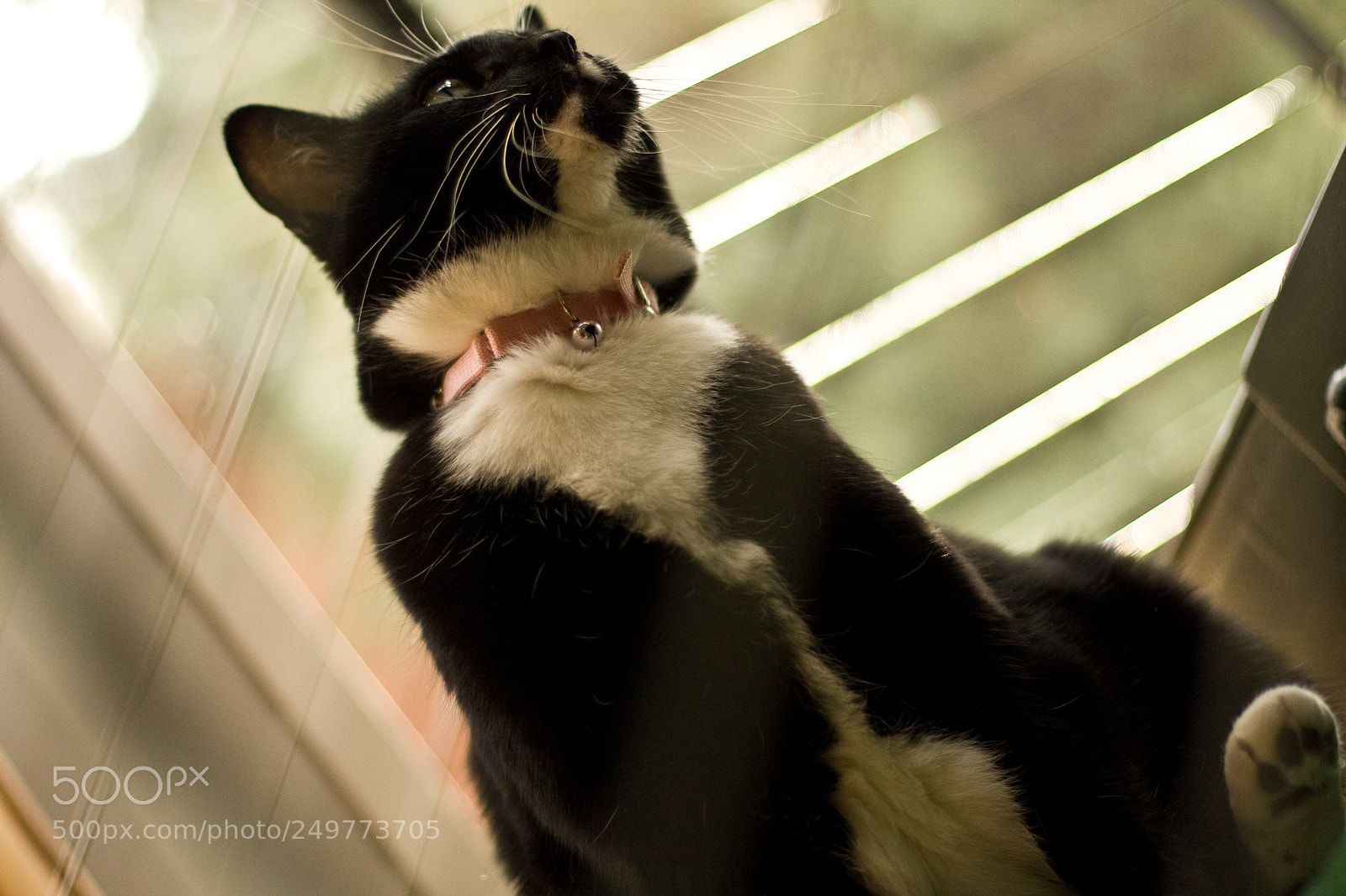 Canon EOS 40D sample photo. On watch photography