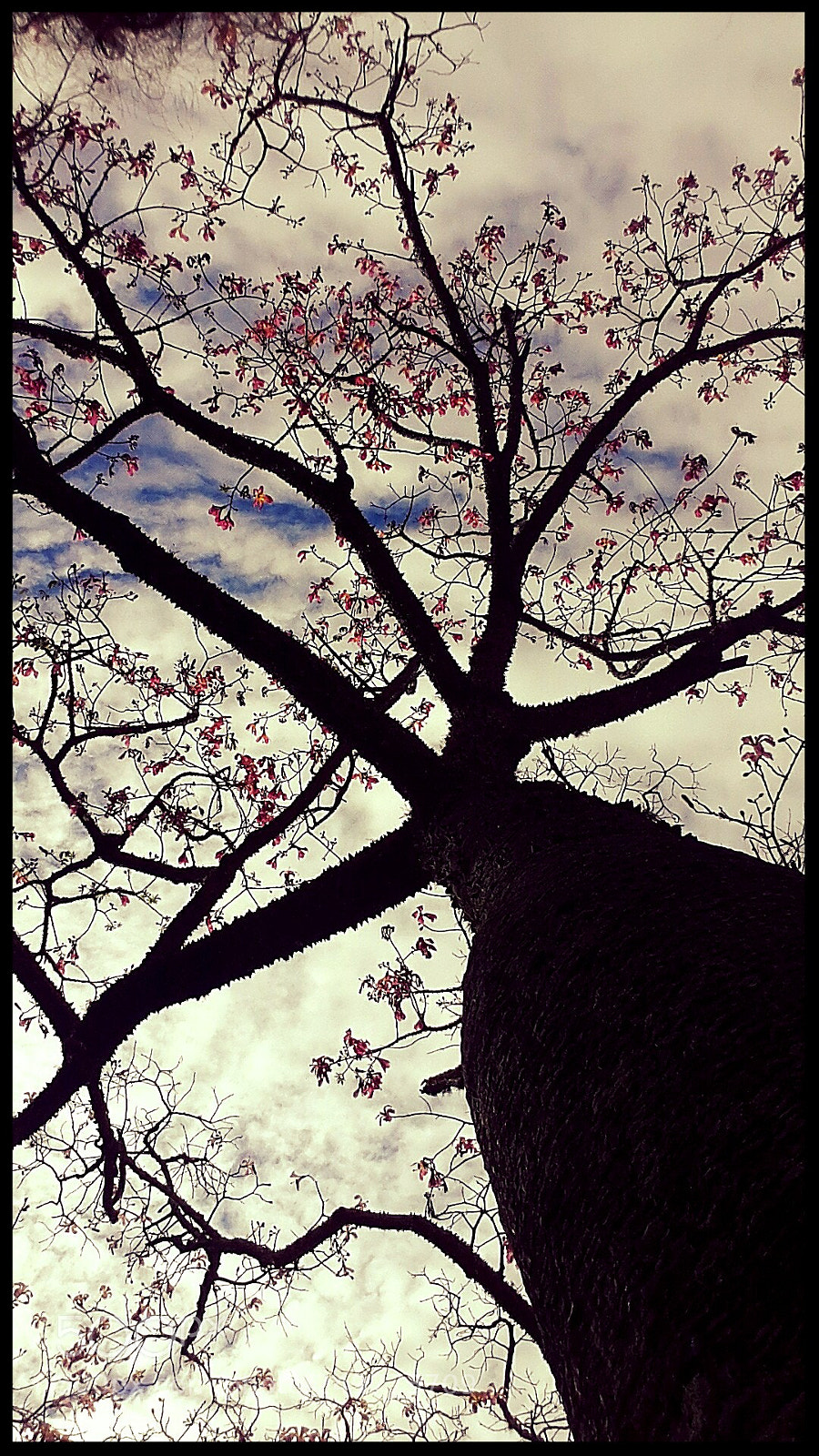 Samsung Galaxy S4 sample photo. Untitled photography