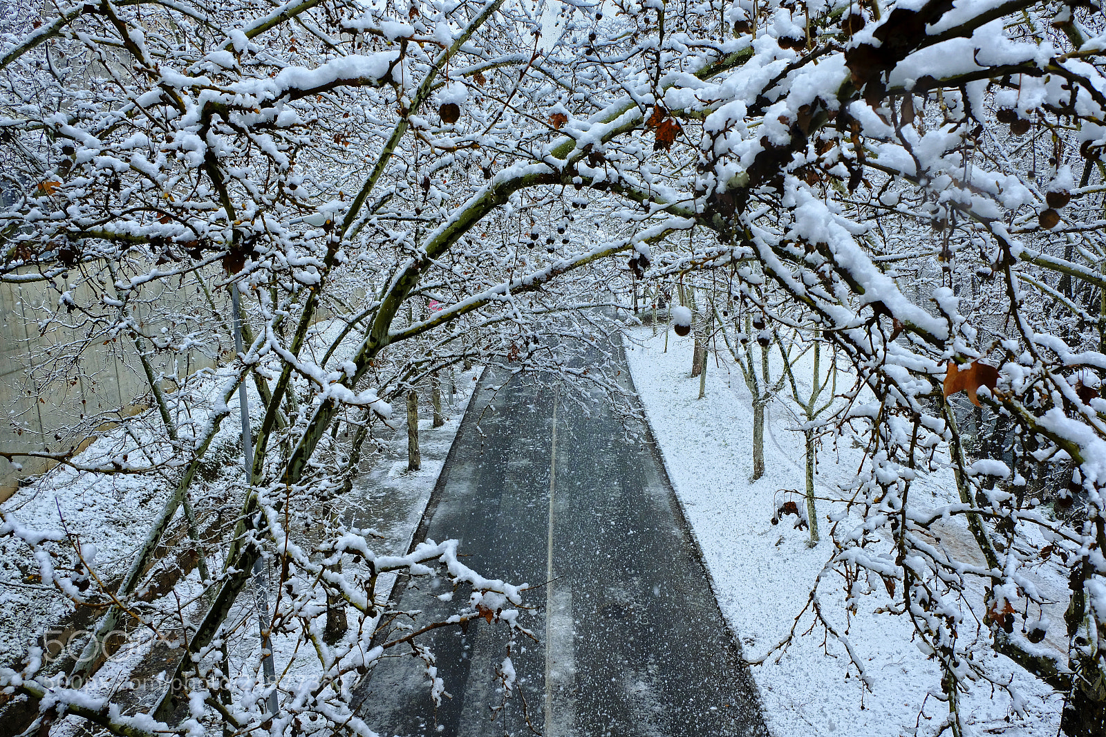 Fujifilm X-T2 sample photo. Carretera y nieve photography