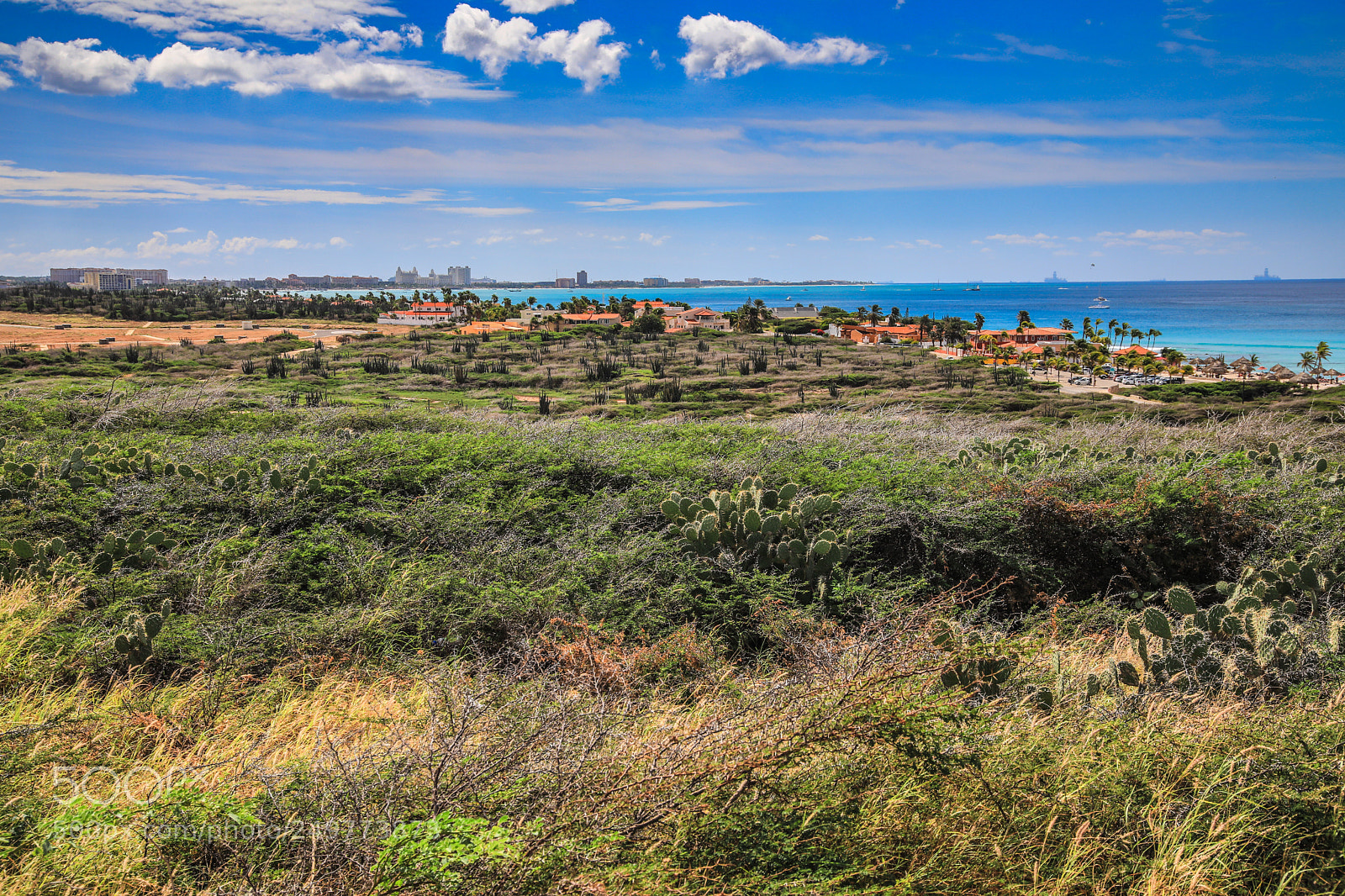 Canon EOS 5D Mark IV sample photo. Aruba 9 photography