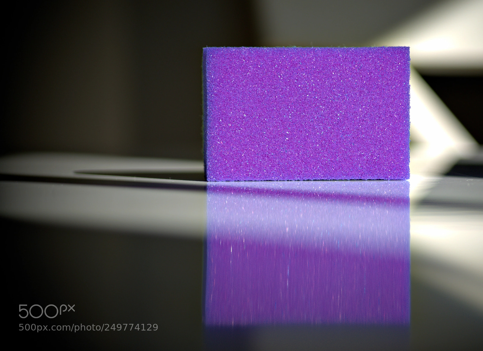Nikon D800 sample photo. Purple sponge art photography