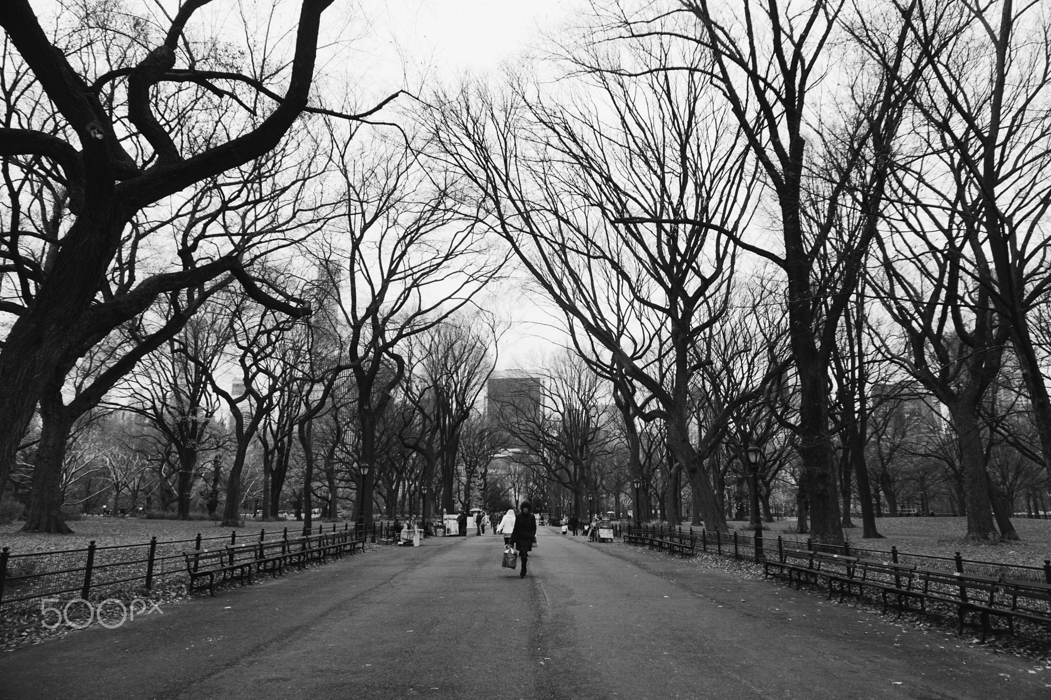 Woman Walking in Central Park, New York City, NY