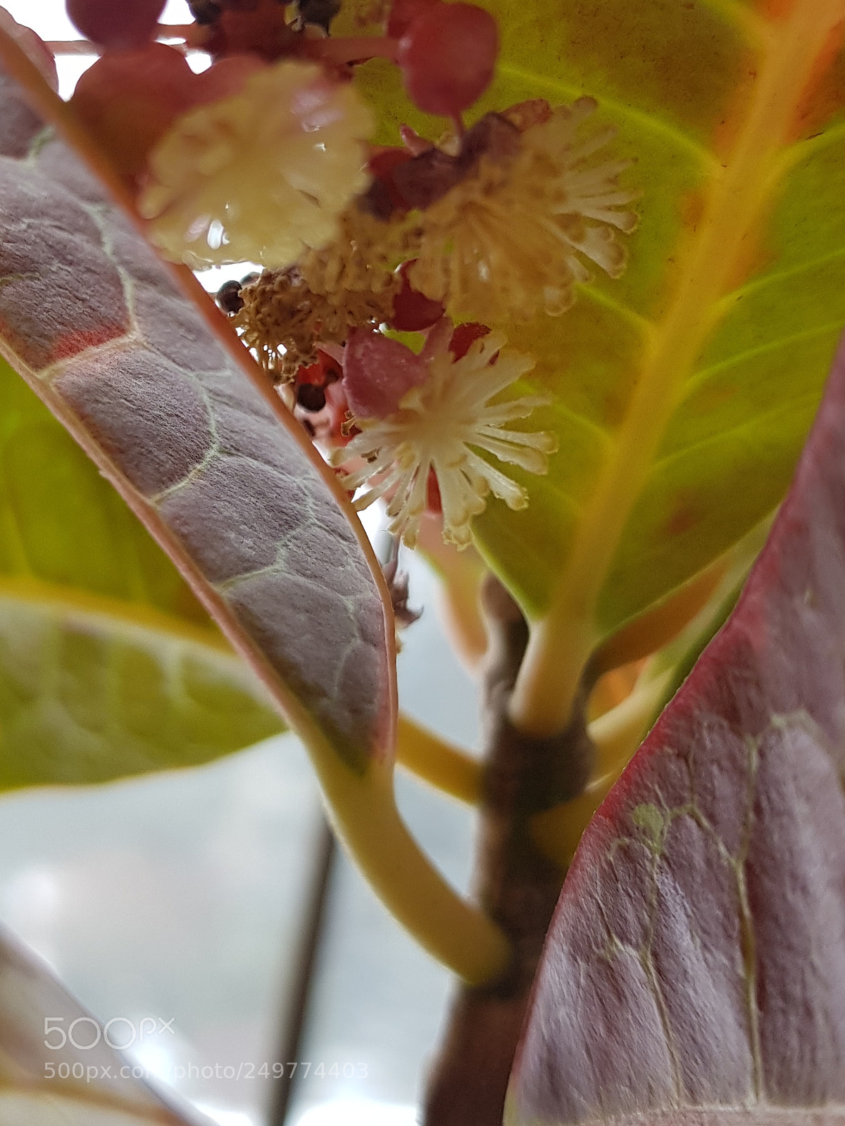 Samsung Galaxy S8 sample photo. Untitled photography