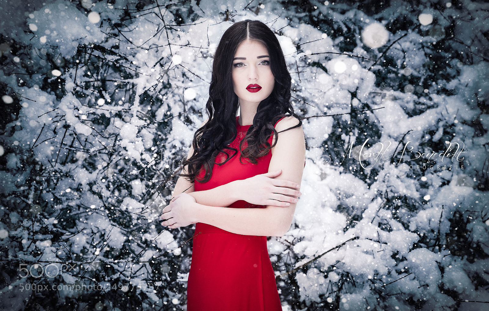 Nikon D500 sample photo. Winter fairytale photography