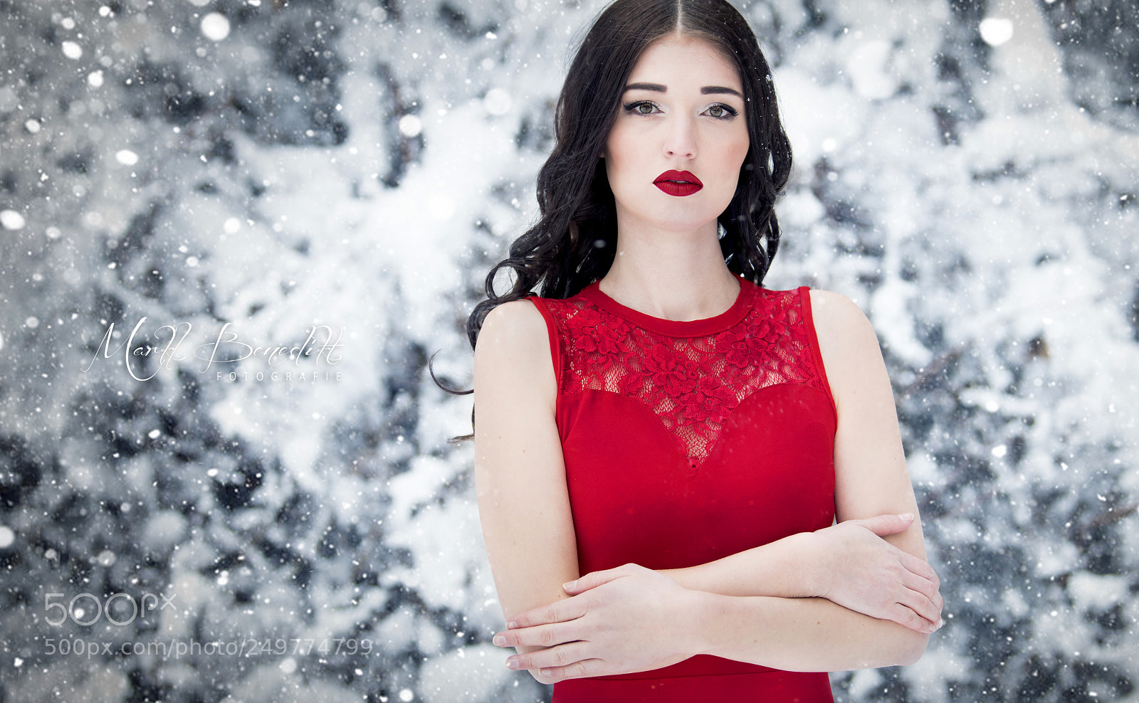 Nikon D500 sample photo. Winter fairytale photography