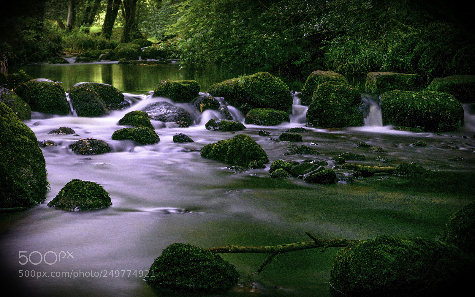 Nikon D800 sample photo. Stepping stones photography