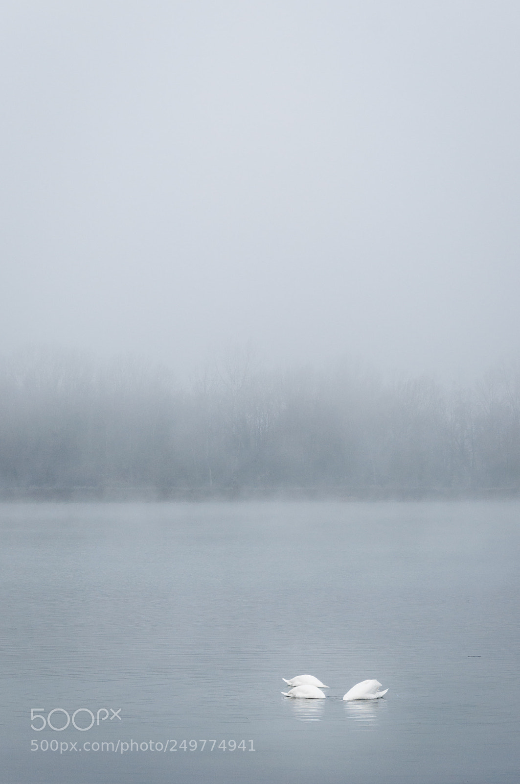 Nikon D90 sample photo. Mood photography