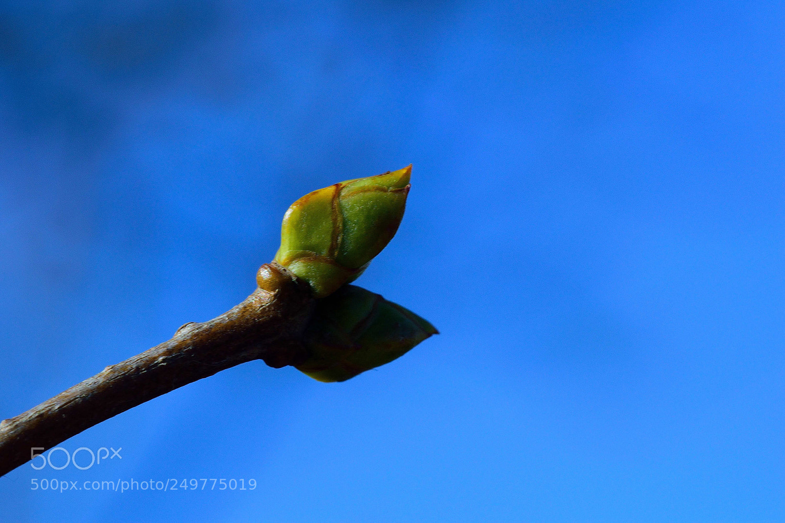 Nikon D5300 sample photo. Untitled photography