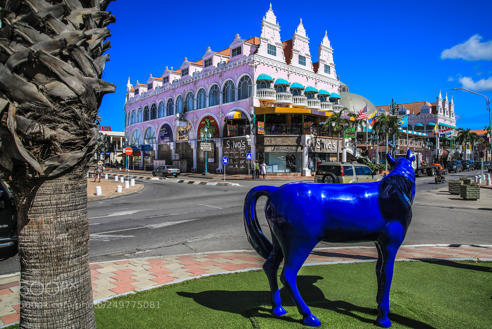 Canon EOS 5D Mark IV sample photo. Aruba 11 photography