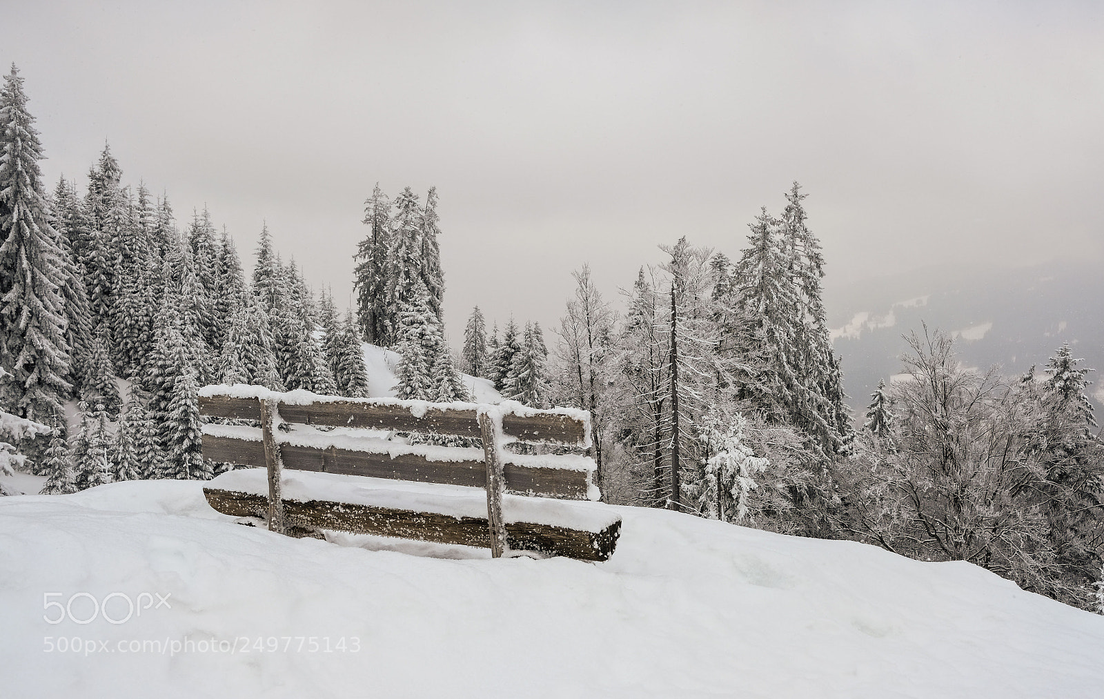 Fujifilm X-Pro2 sample photo. Frozen photography