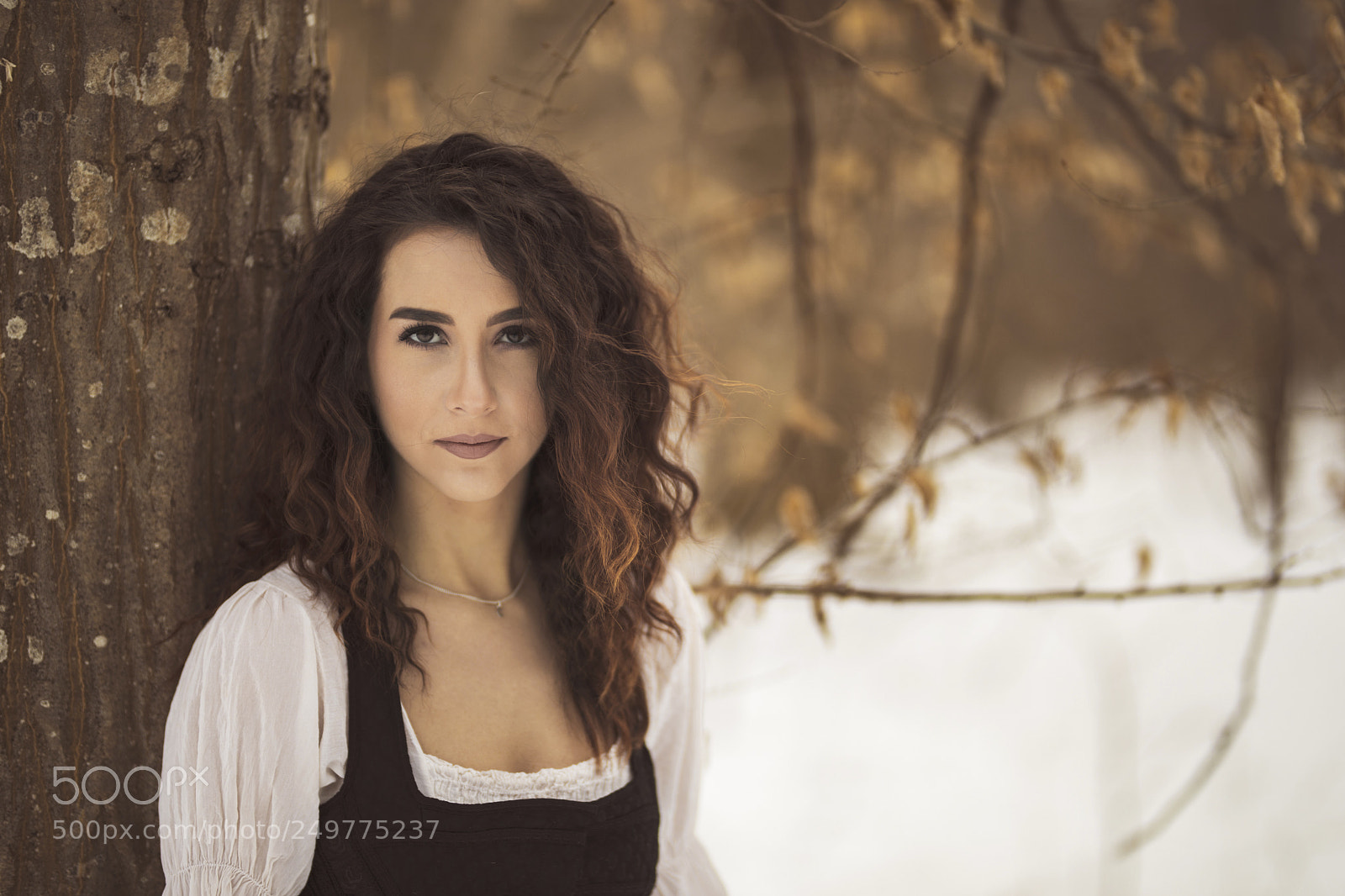 Canon EOS 5D Mark IV sample photo. Untitled photography