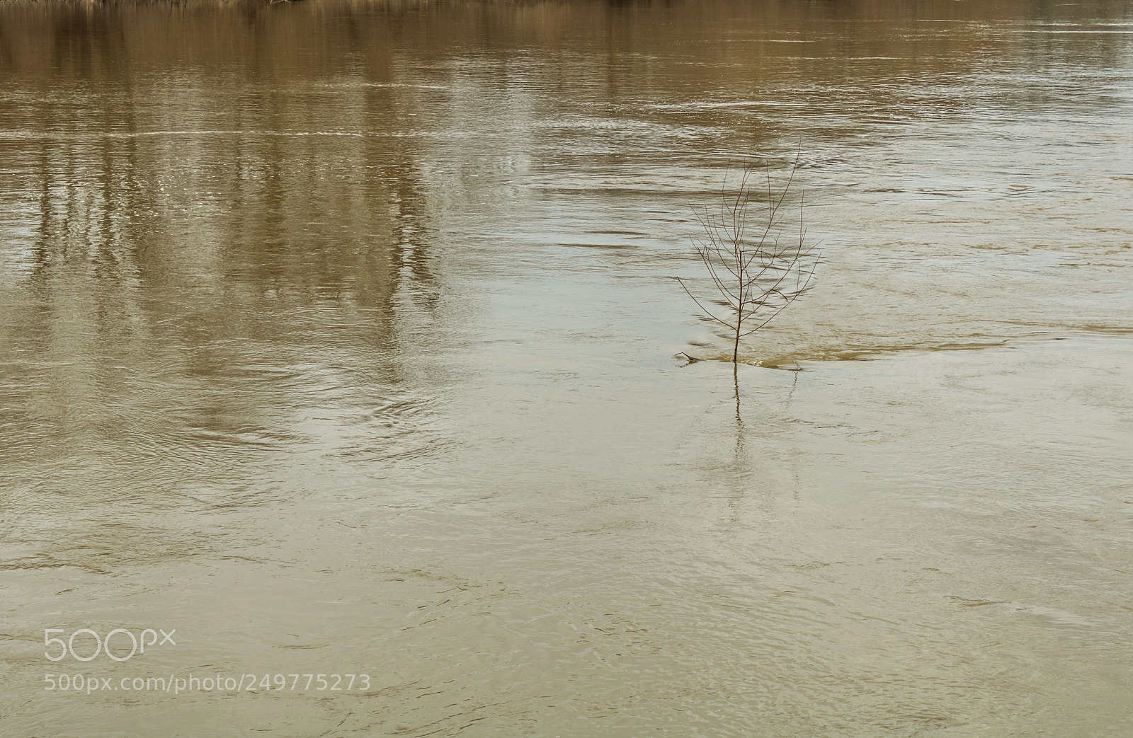 Canon EOS 750D (EOS Rebel T6i / EOS Kiss X8i) sample photo. Alone in the river photography