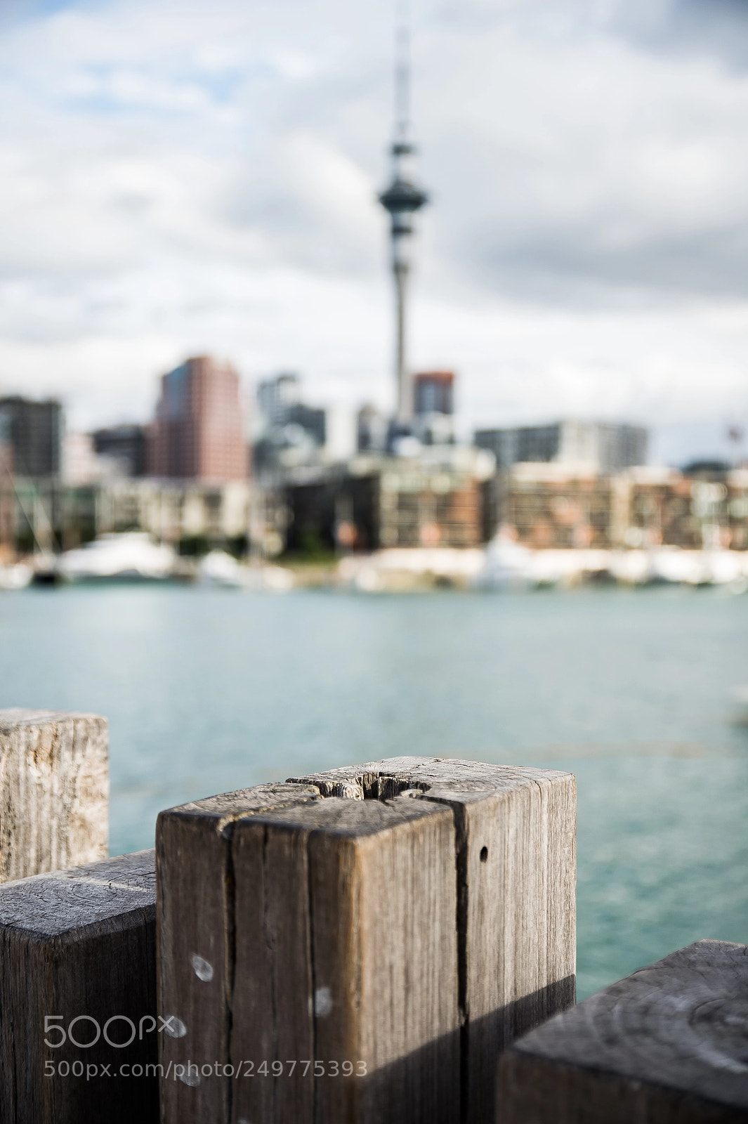 Nikon D4 sample photo. Auckland : new zealand photography