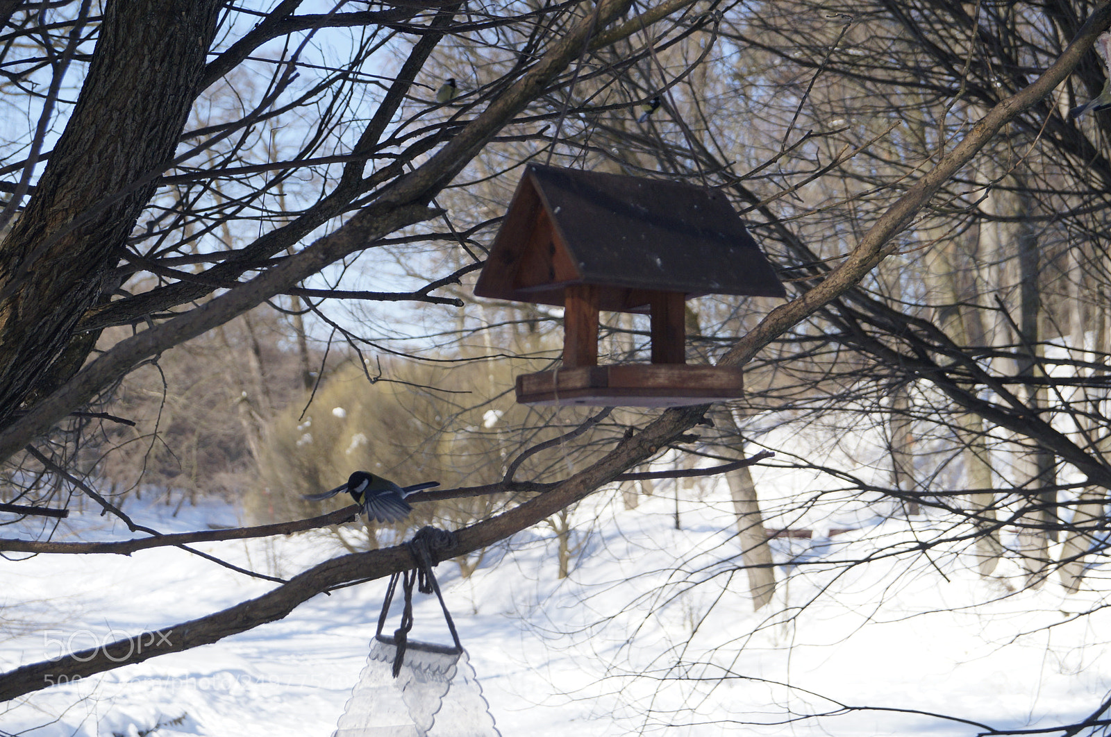 Sony SLT-A57 sample photo. Untitled photography