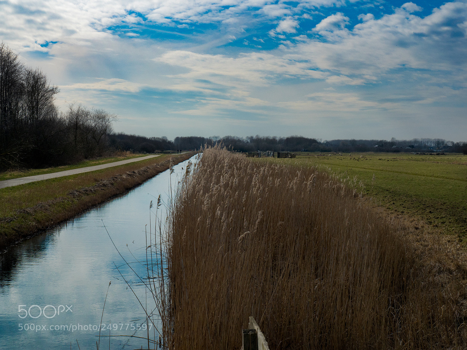 Olympus OM-D E-M5 II sample photo. Pijnacker landscapes photography