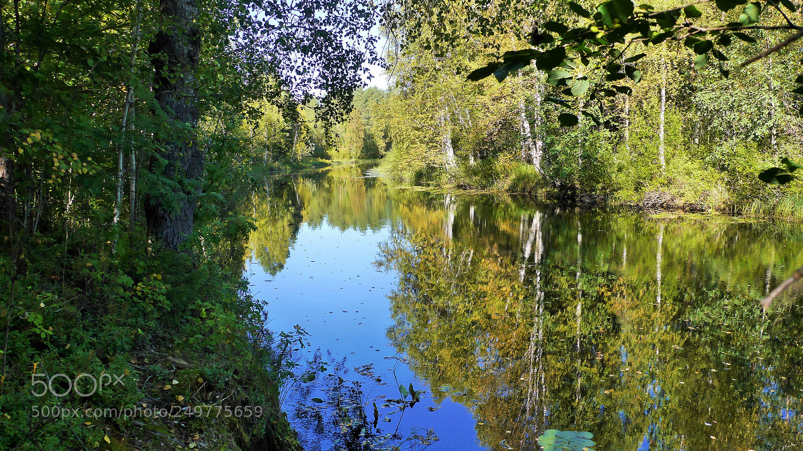 Panasonic Lumix DMC-G6 sample photo. Reflection photography