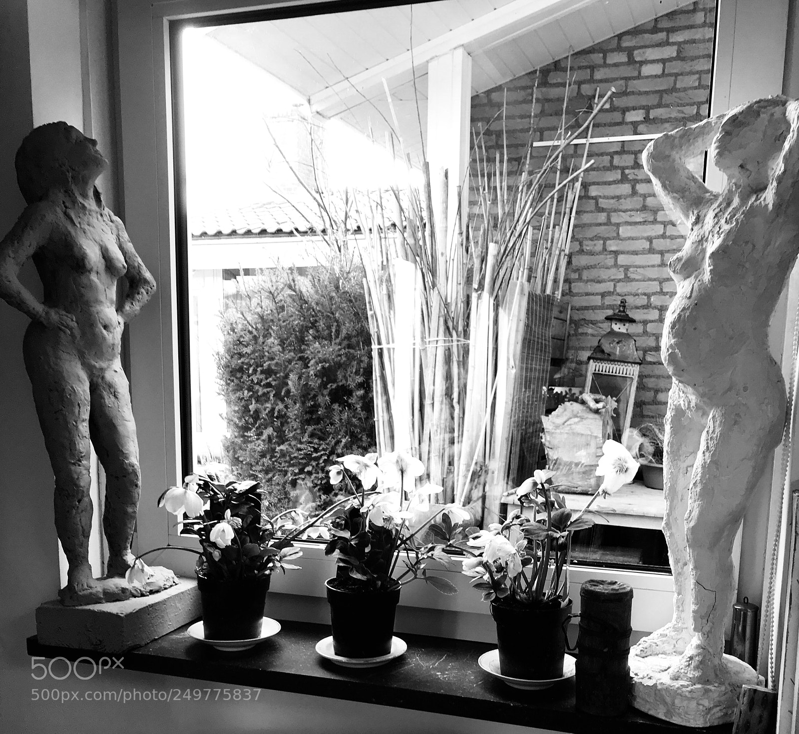 Apple iPhone 7 Plus sample photo. Spring inside my studio ? photography