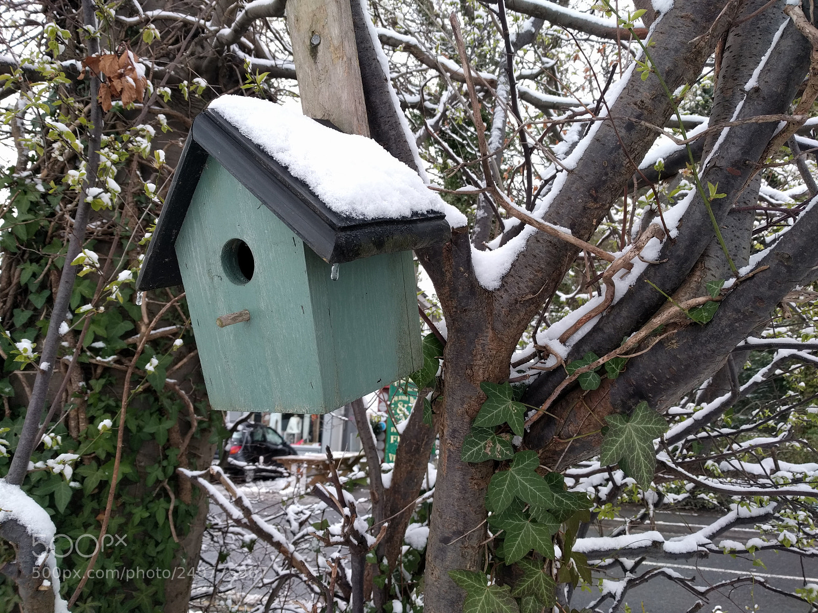Google Nexus 6P sample photo. Cold bird house photography