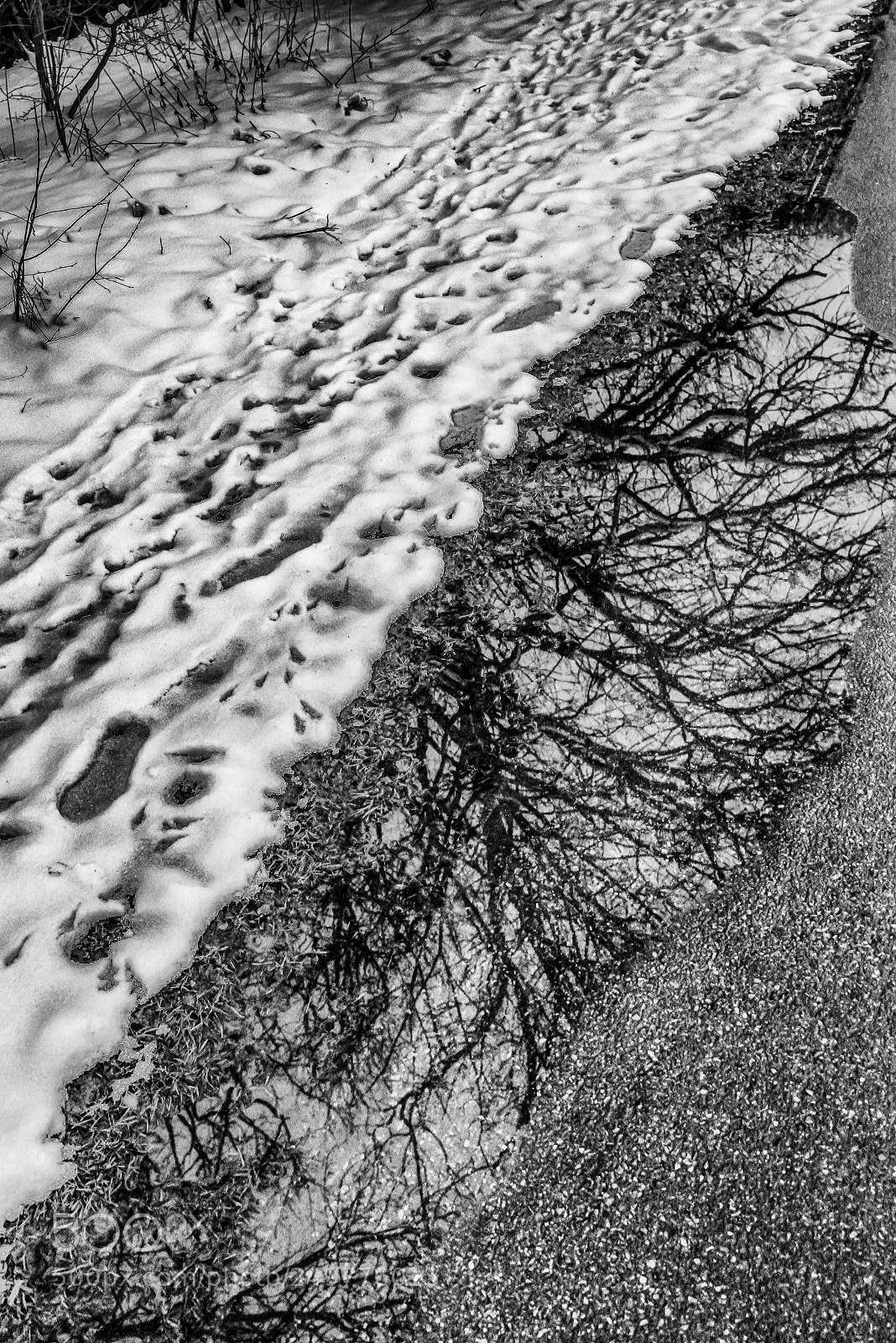 Nikon D800 sample photo. Winter is back photography
